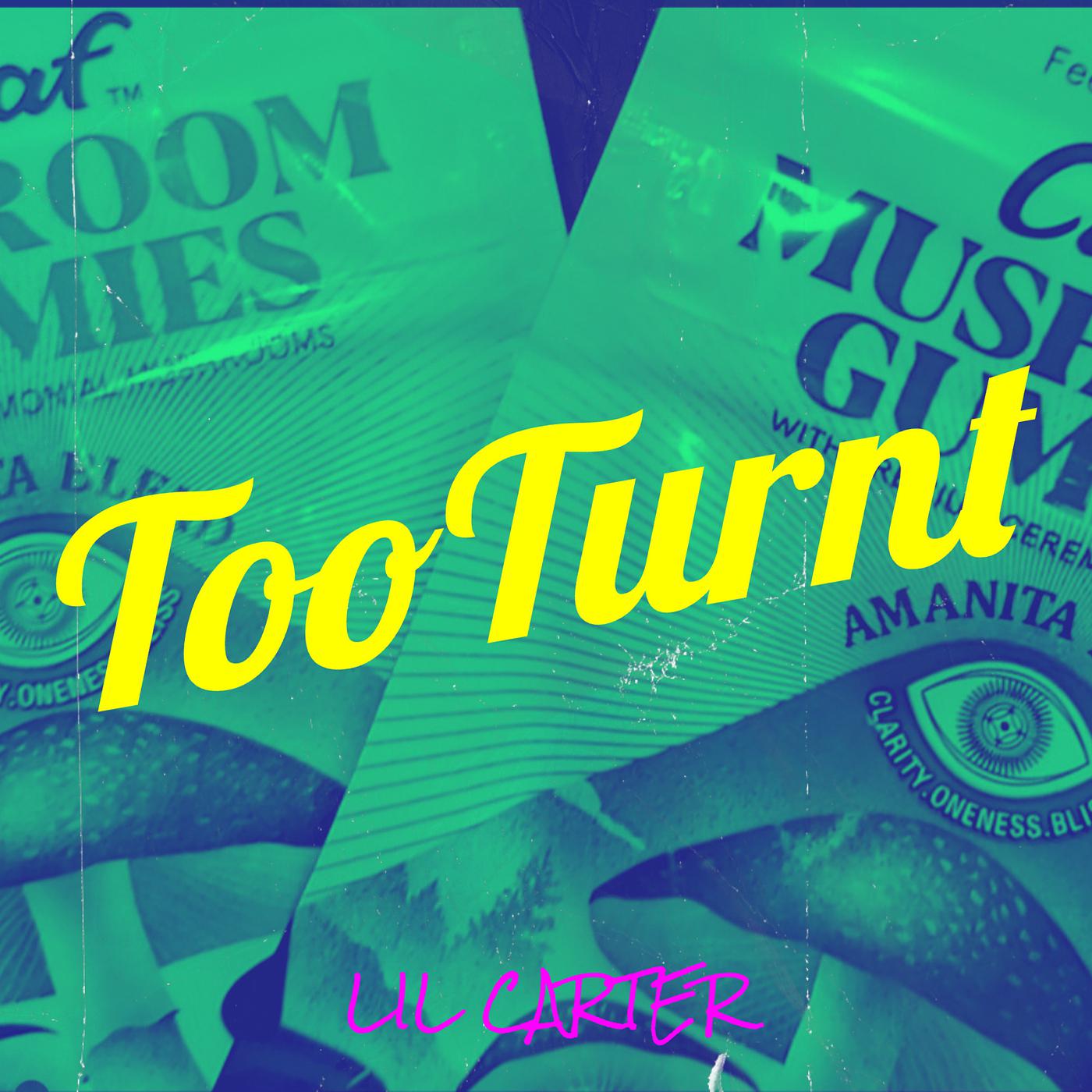 Постер альбома TooTurnt