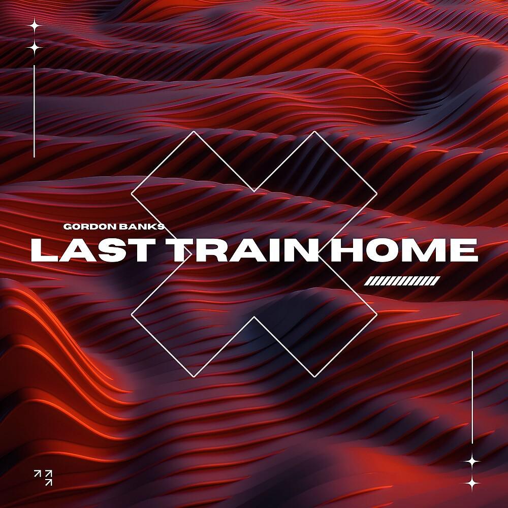 Постер альбома Last Train Home