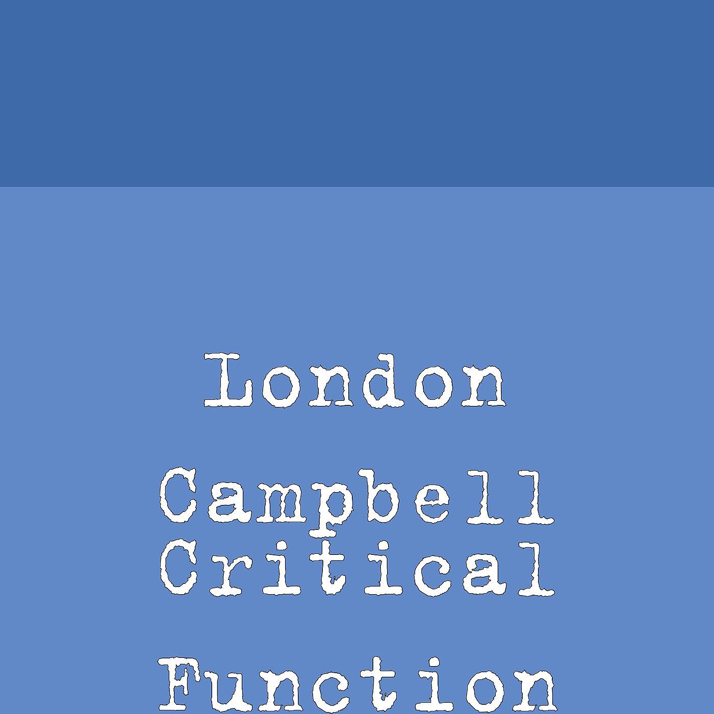 Постер альбома Critical Function