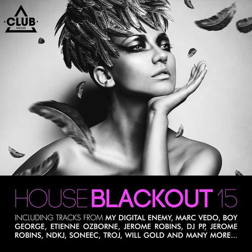 Постер альбома House Blackout, Vol. 15
