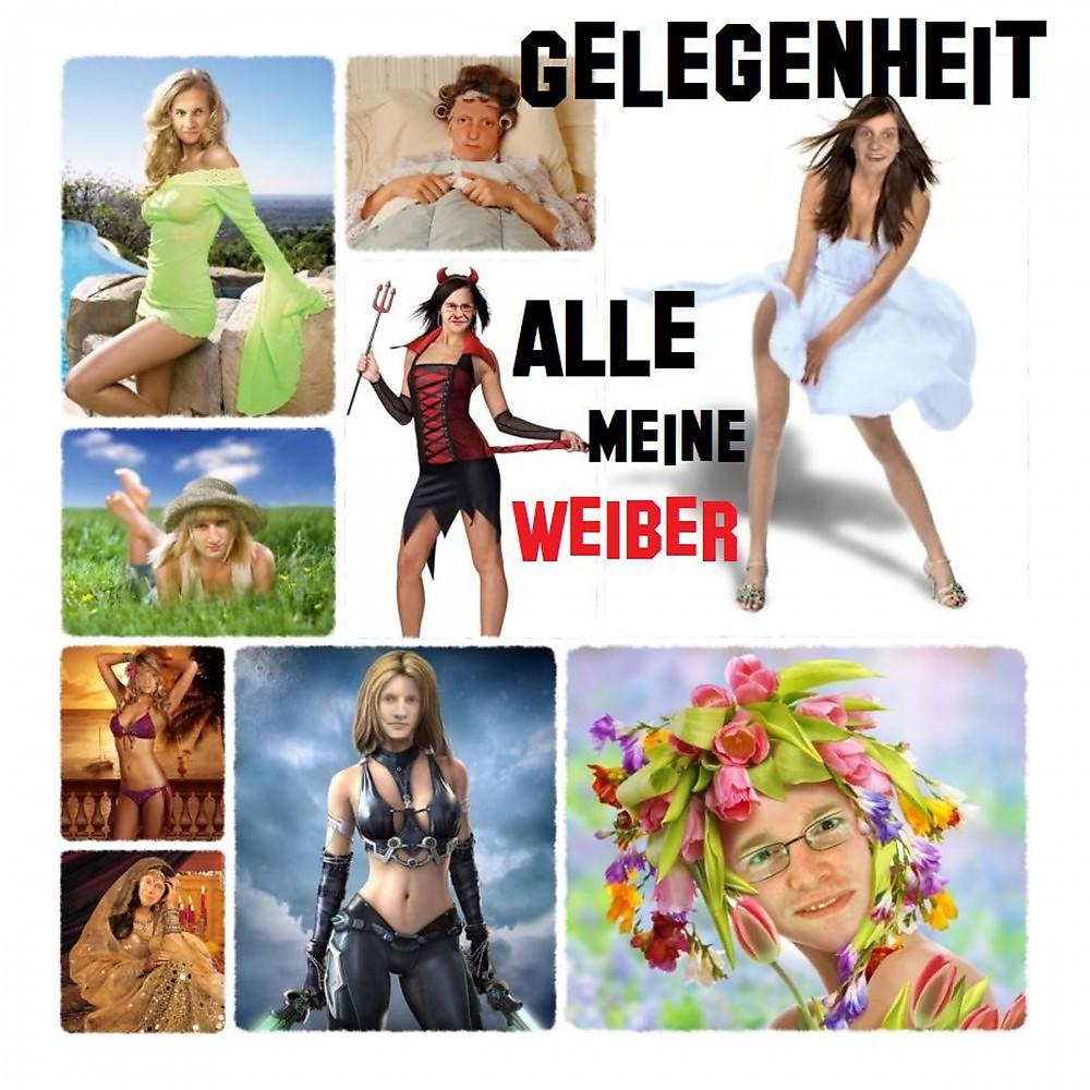 Постер альбома Alle meine Weiber
