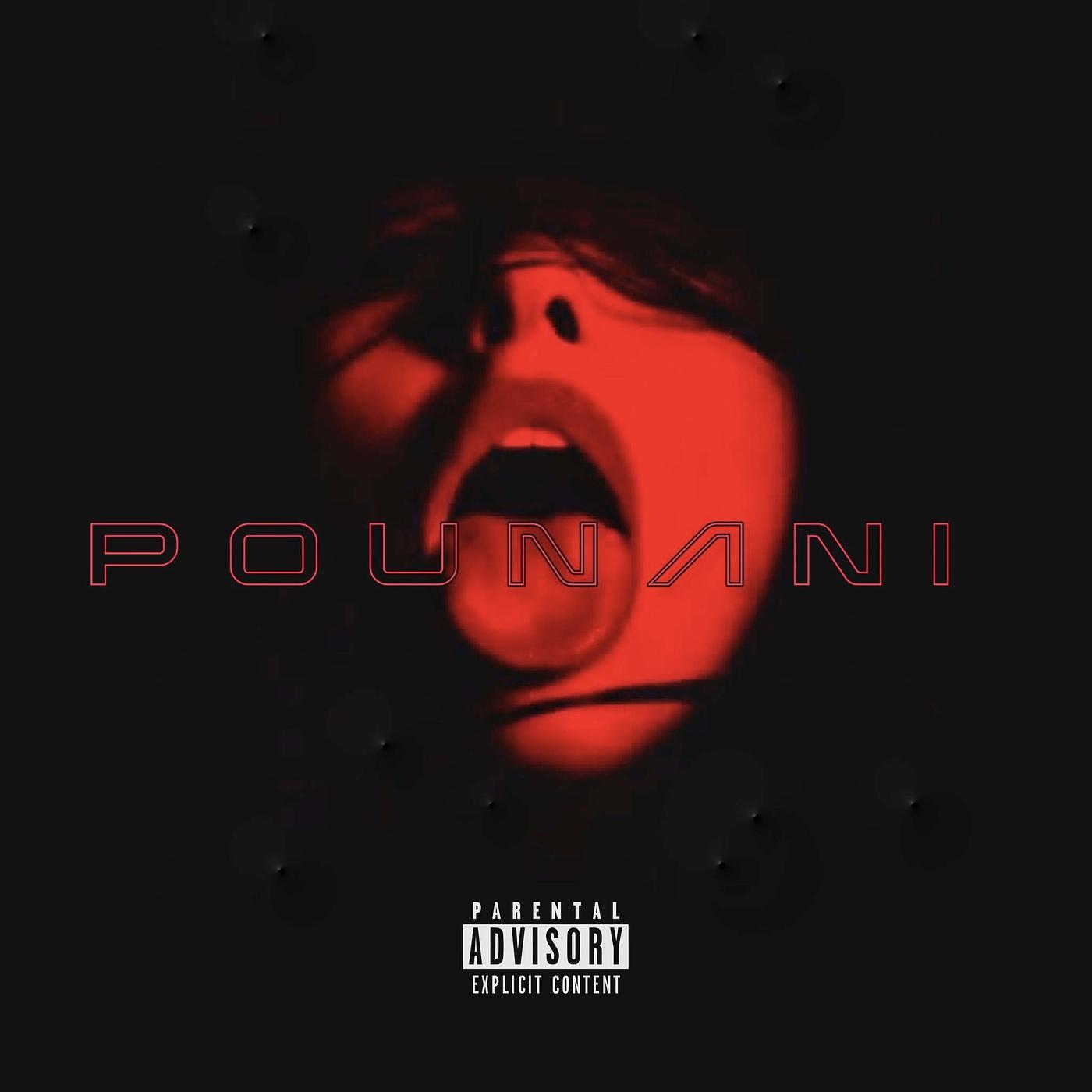 Постер альбома Pounani