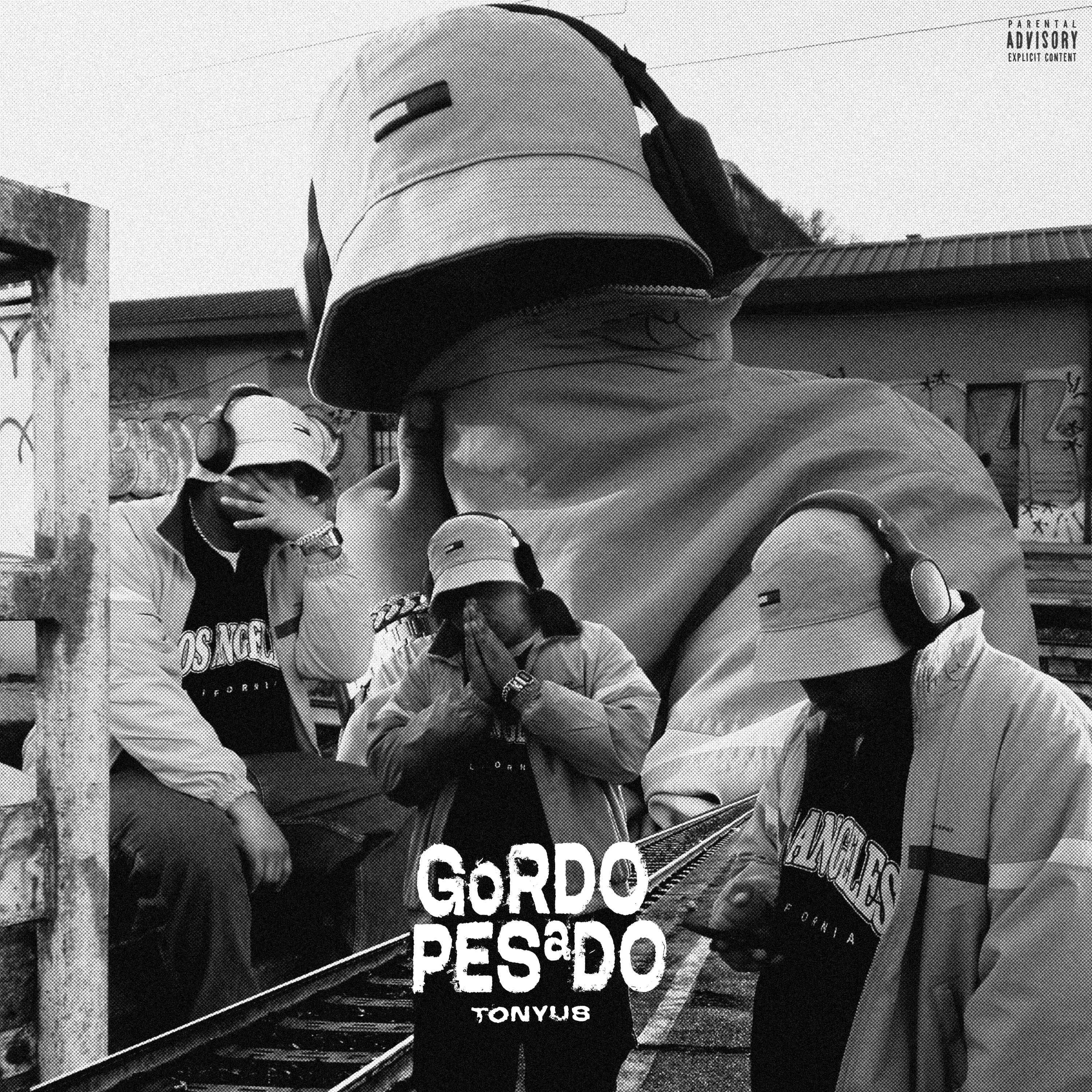 Постер альбома Gordo Pesado