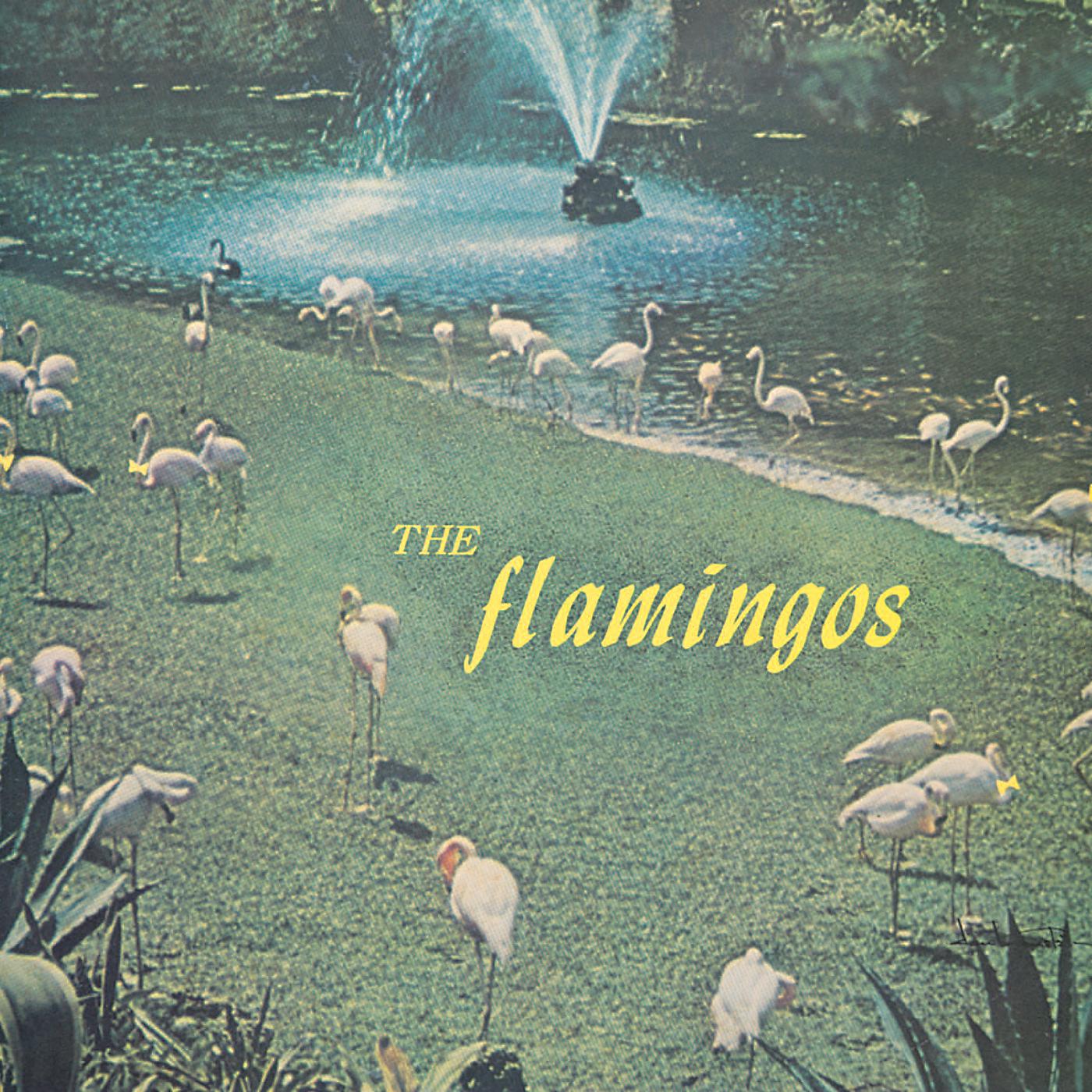 Постер альбома The Flamingos