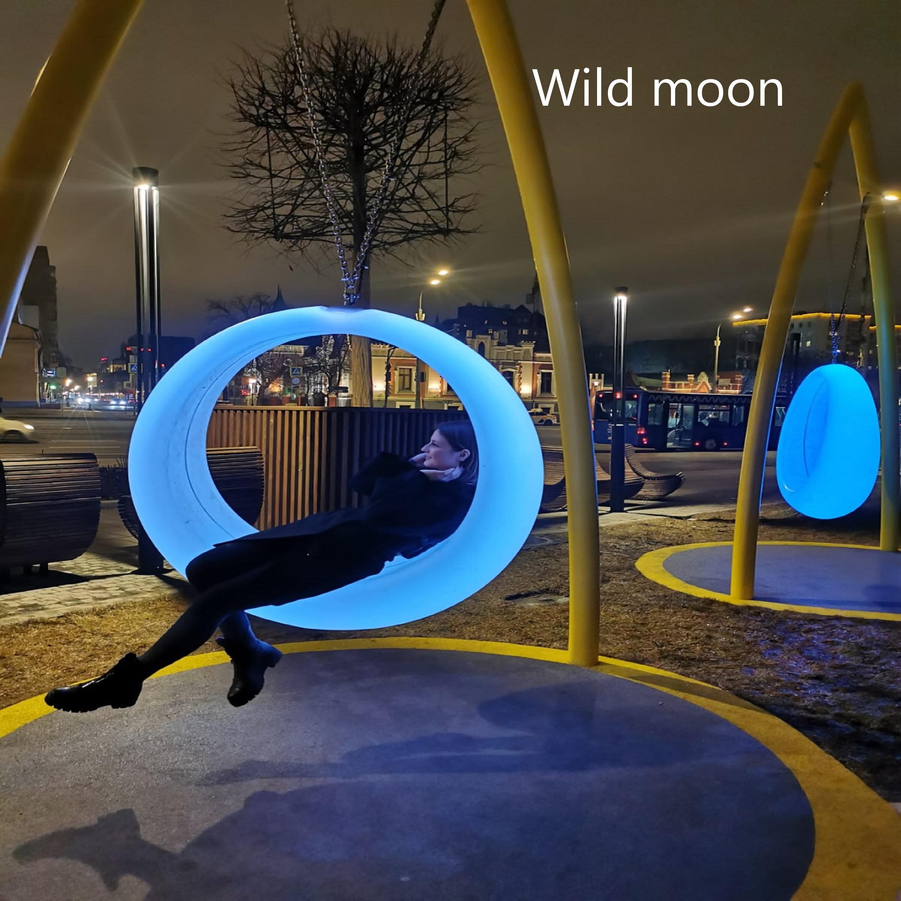 Постер альбома Wild Moon