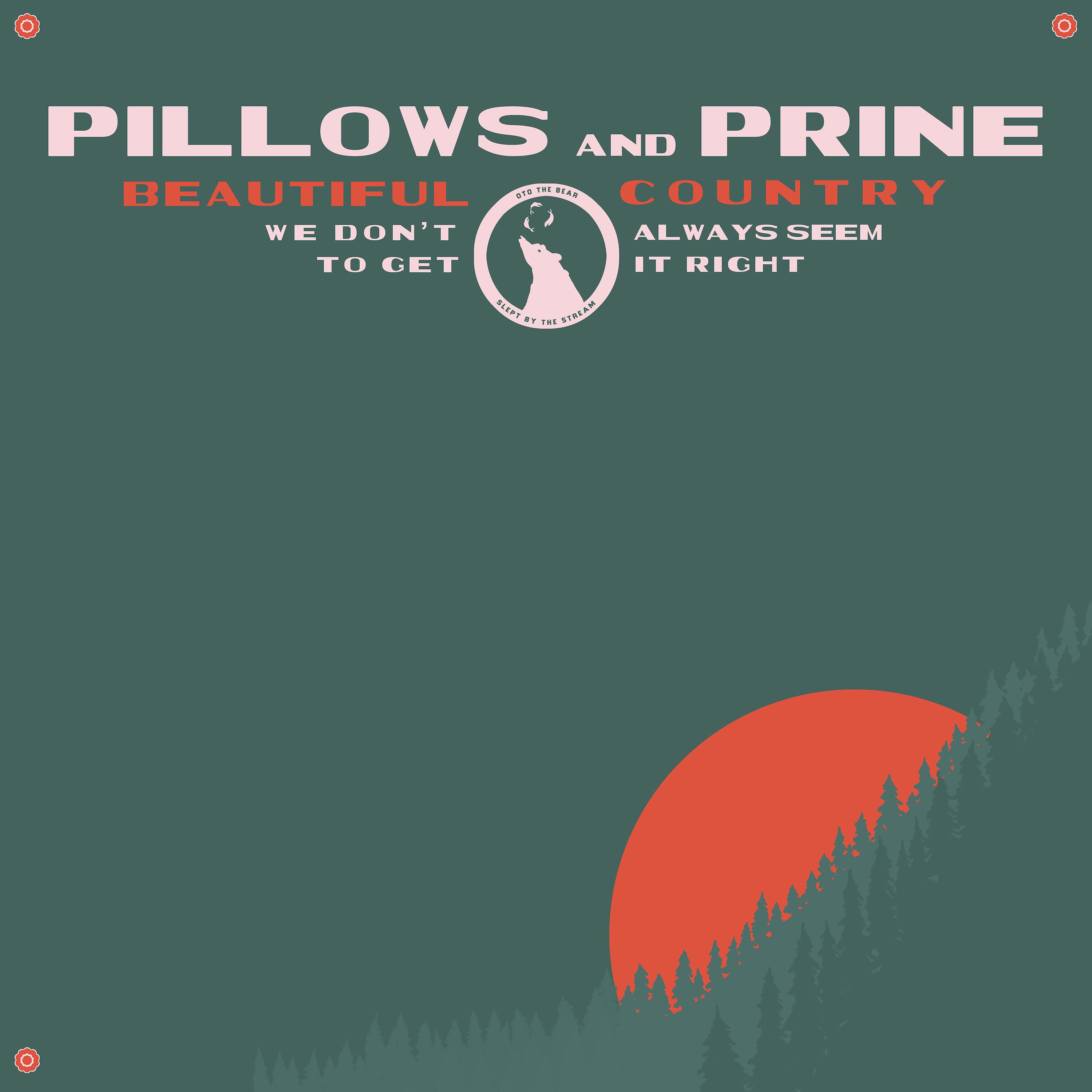 Постер альбома Pillows and Prine