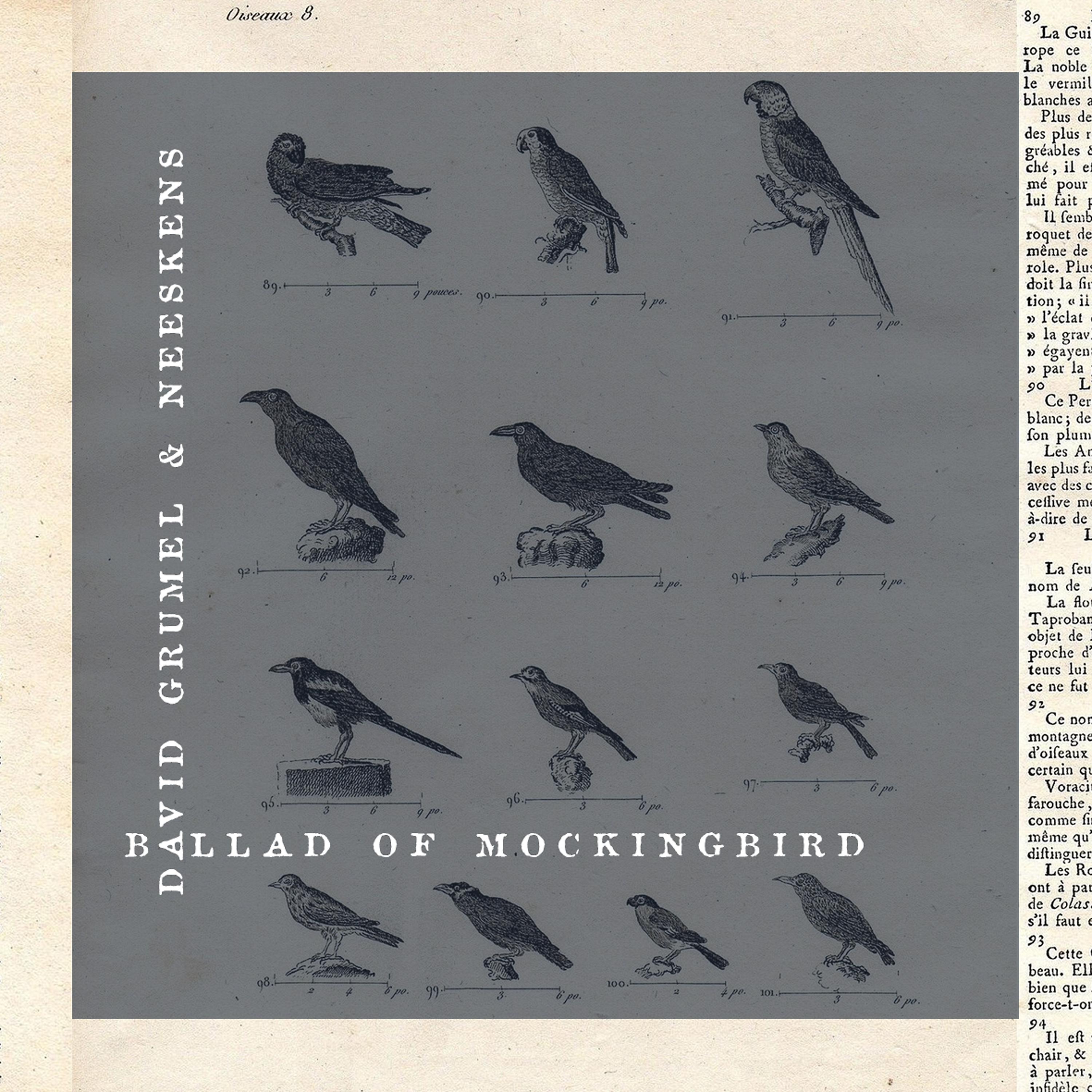 Постер альбома Ballad of Mockingbird
