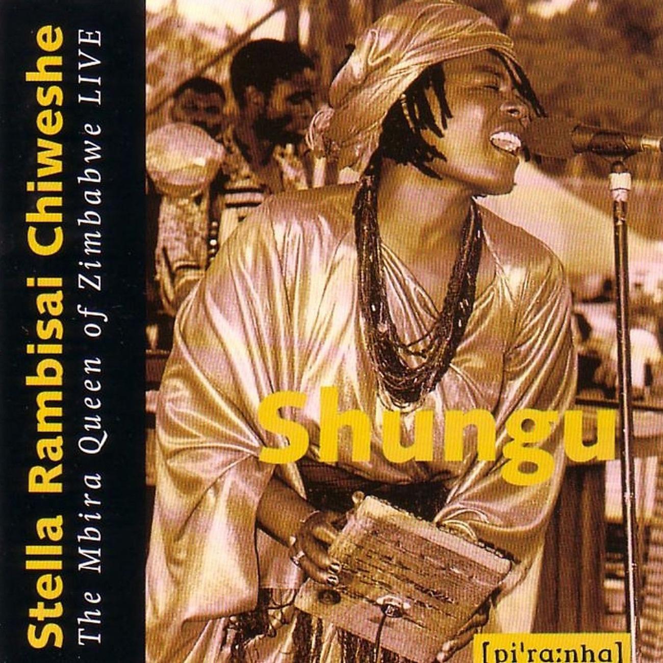 Постер альбома Shungu