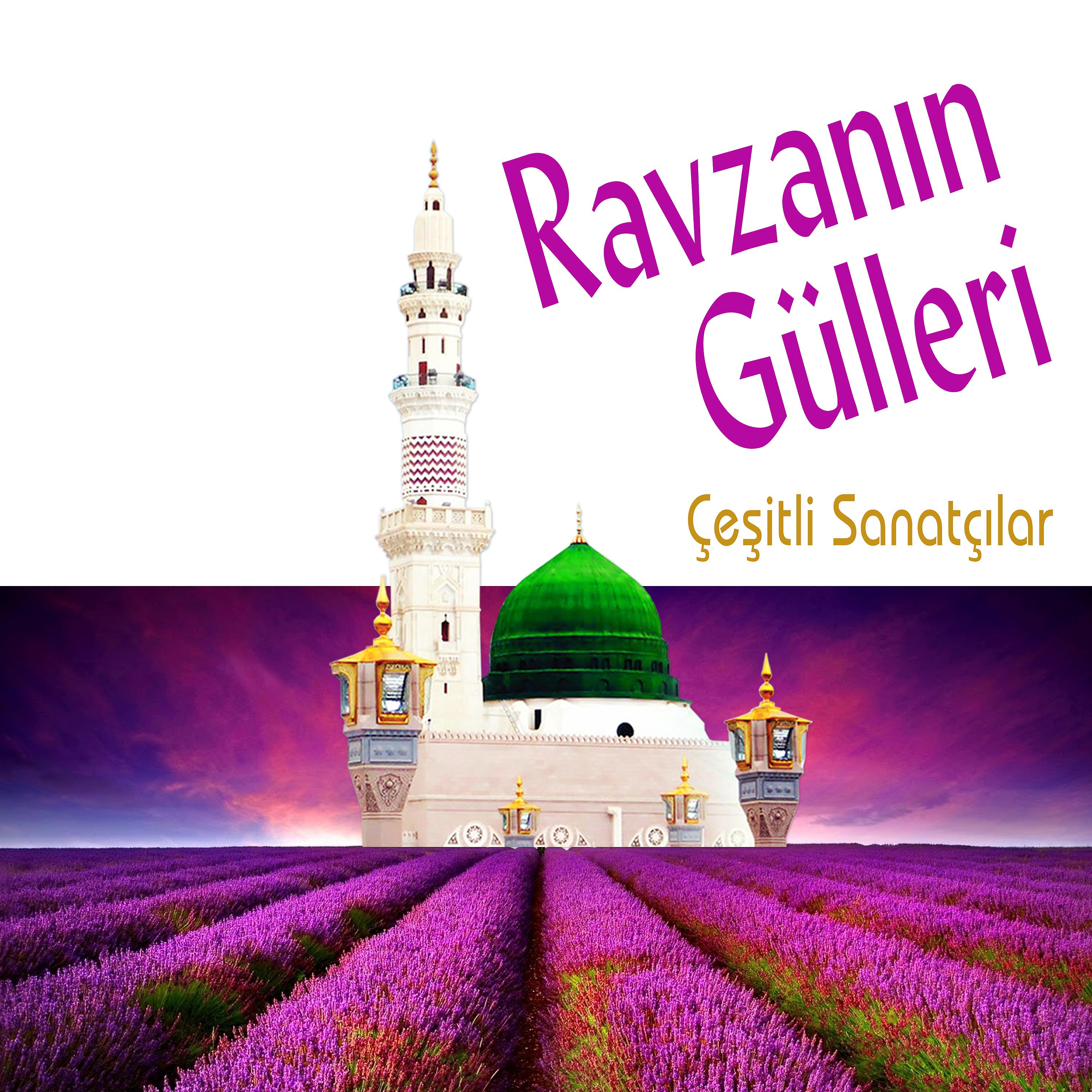 Постер альбома Ravzanın Gülleri