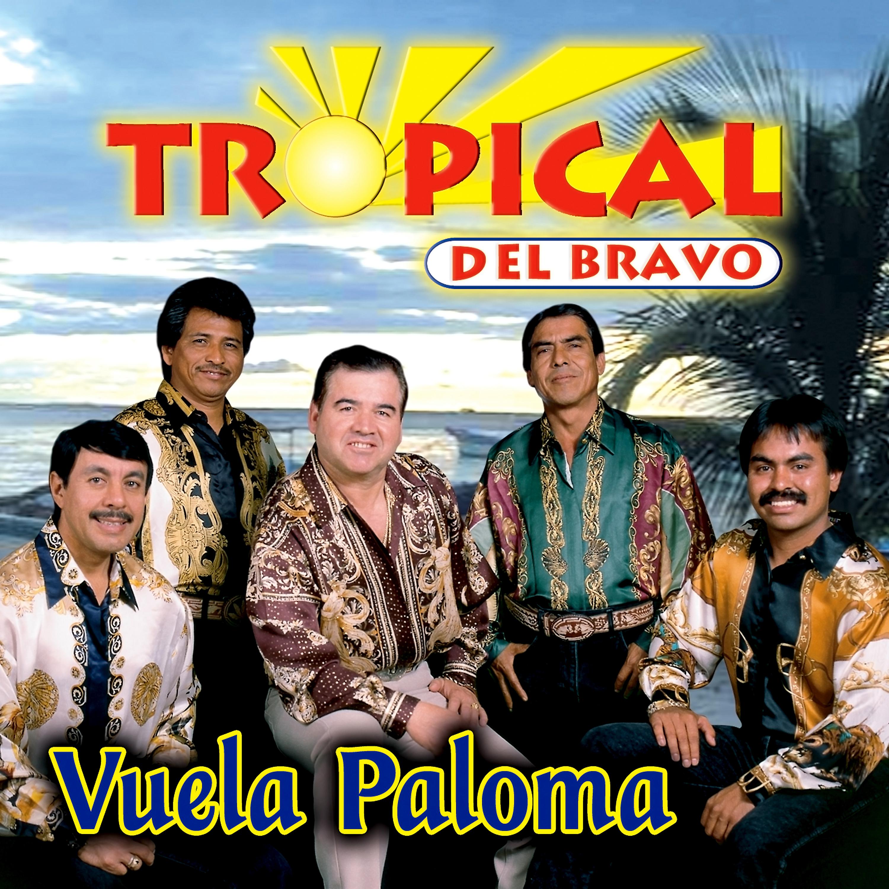 Постер альбома Vuela Paloma