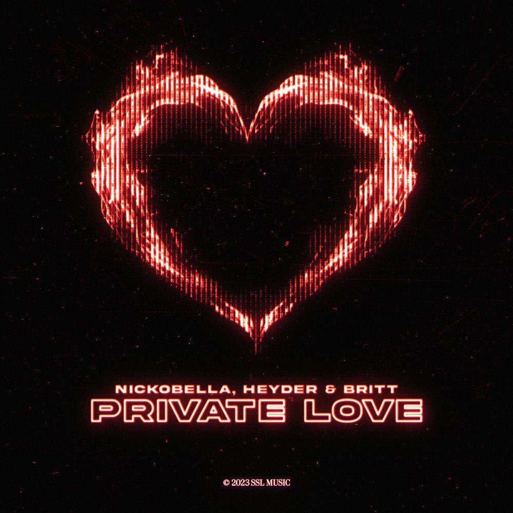 Постер альбома Private Love