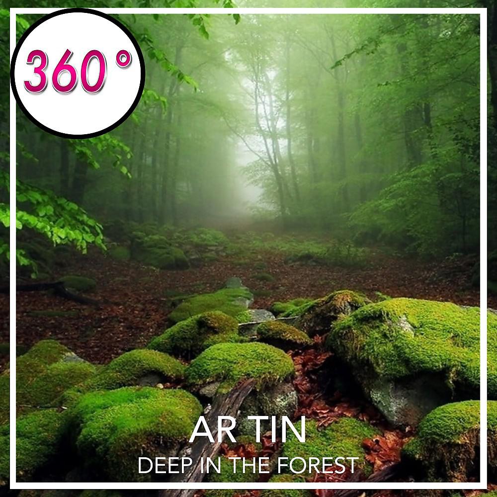 Постер альбома Deep in the Forest