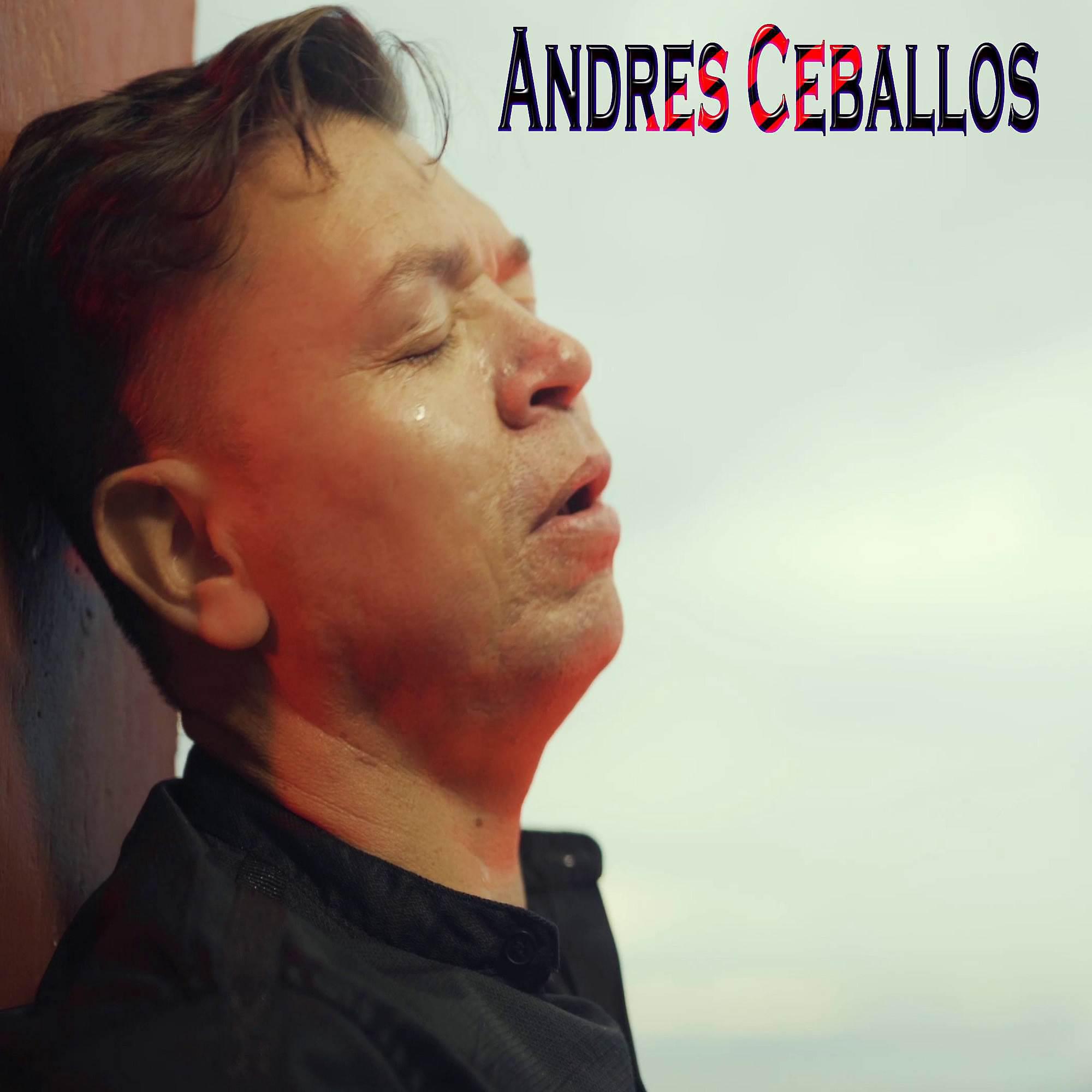 Постер альбома Andres Ceballos