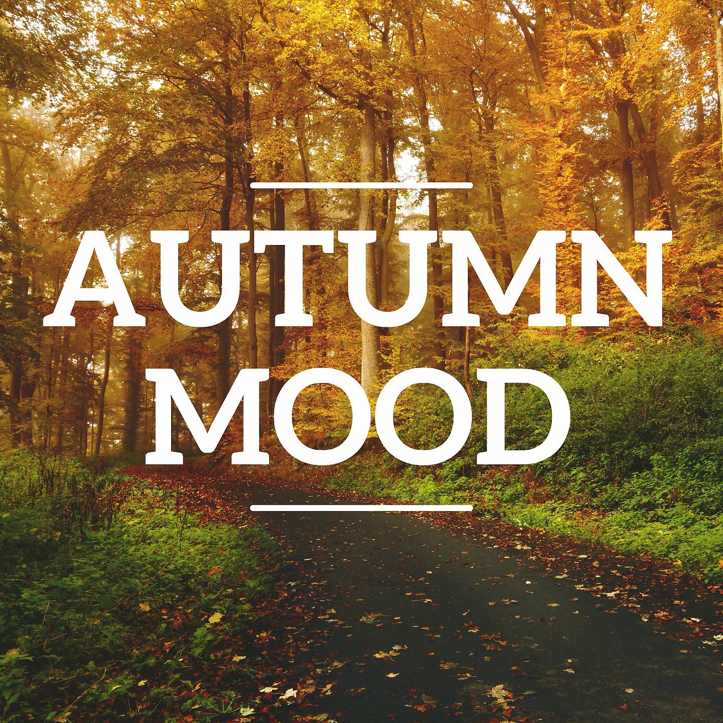 Постер альбома Autumn Mood