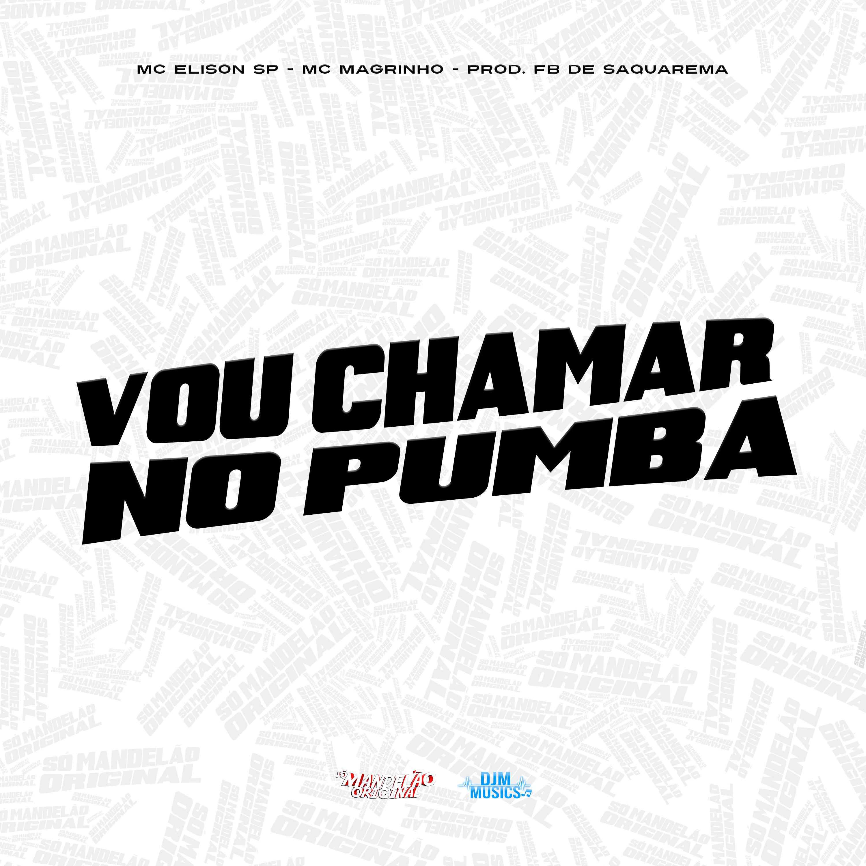Постер альбома Vou Chamar no Pumba