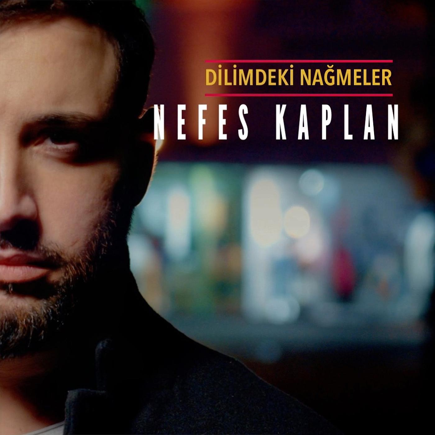 Постер альбома Dilimdeki Nağmeler