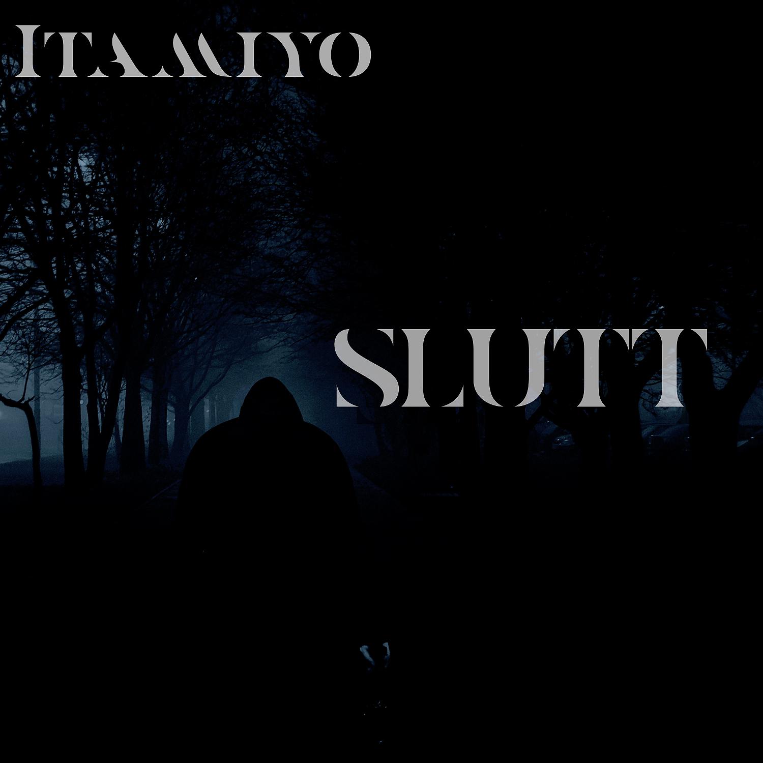 Постер альбома SLUTT