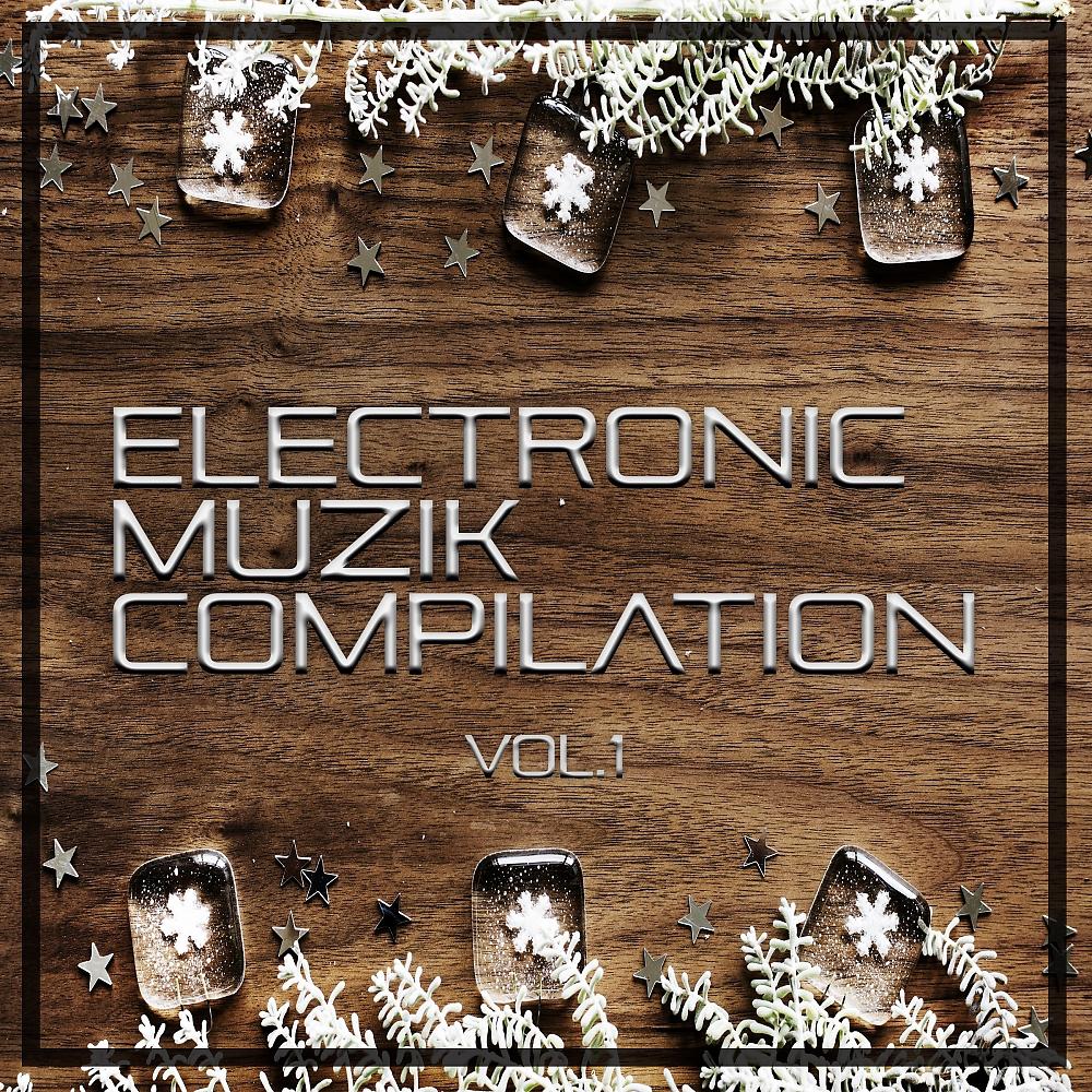 Постер альбома Electronic Muzik Compilation