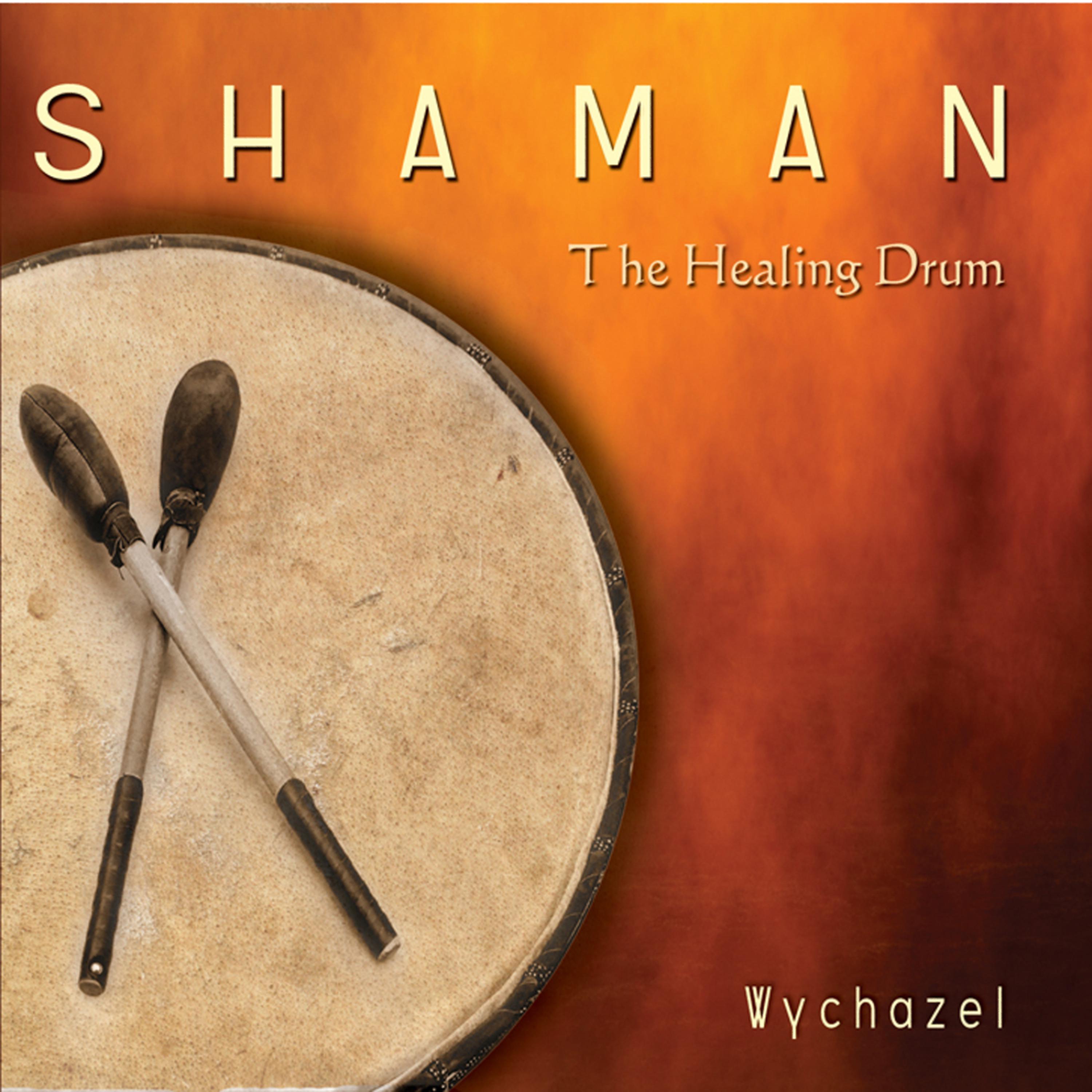 Постер альбома Shaman - The Healing Drum