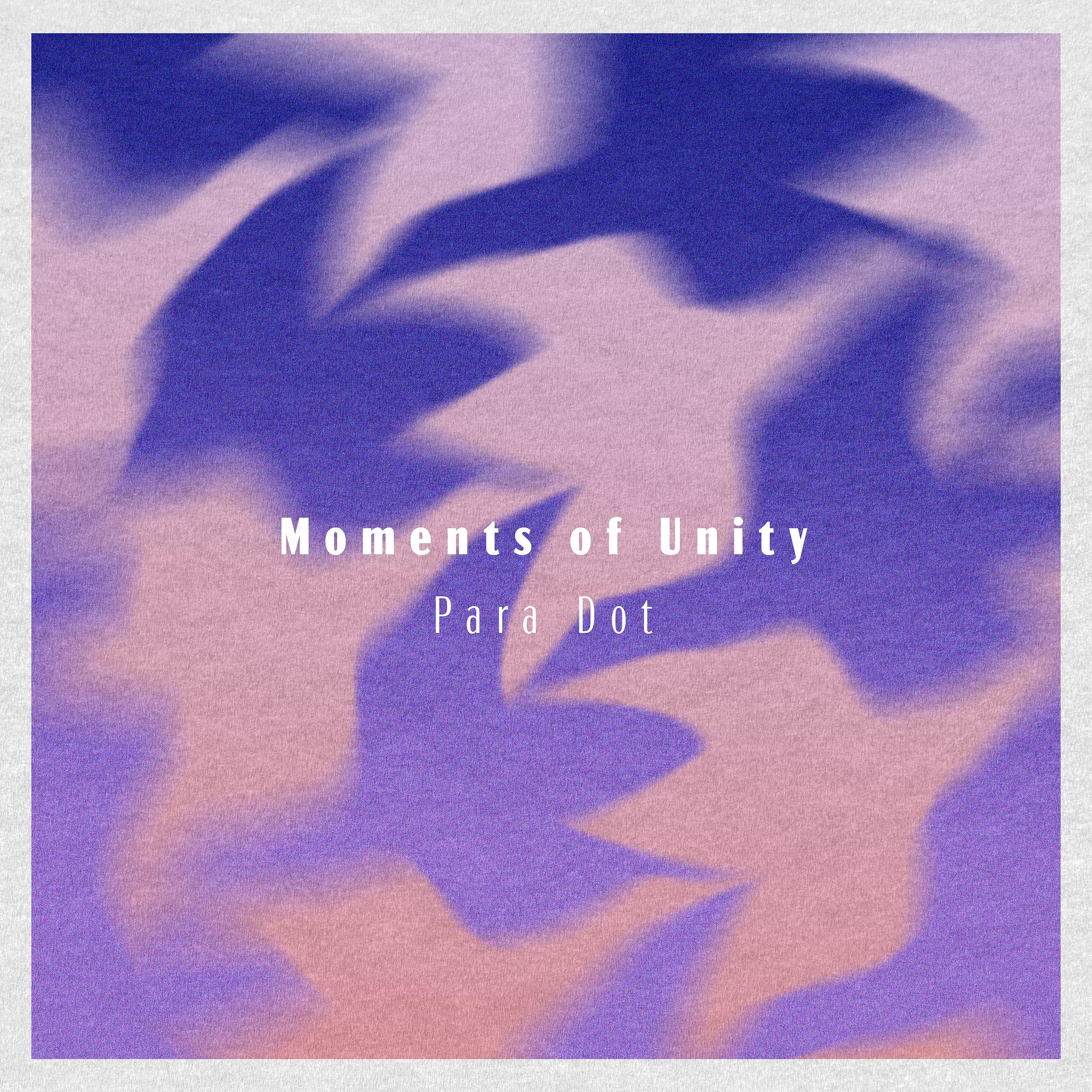 Постер альбома Moments of Unity