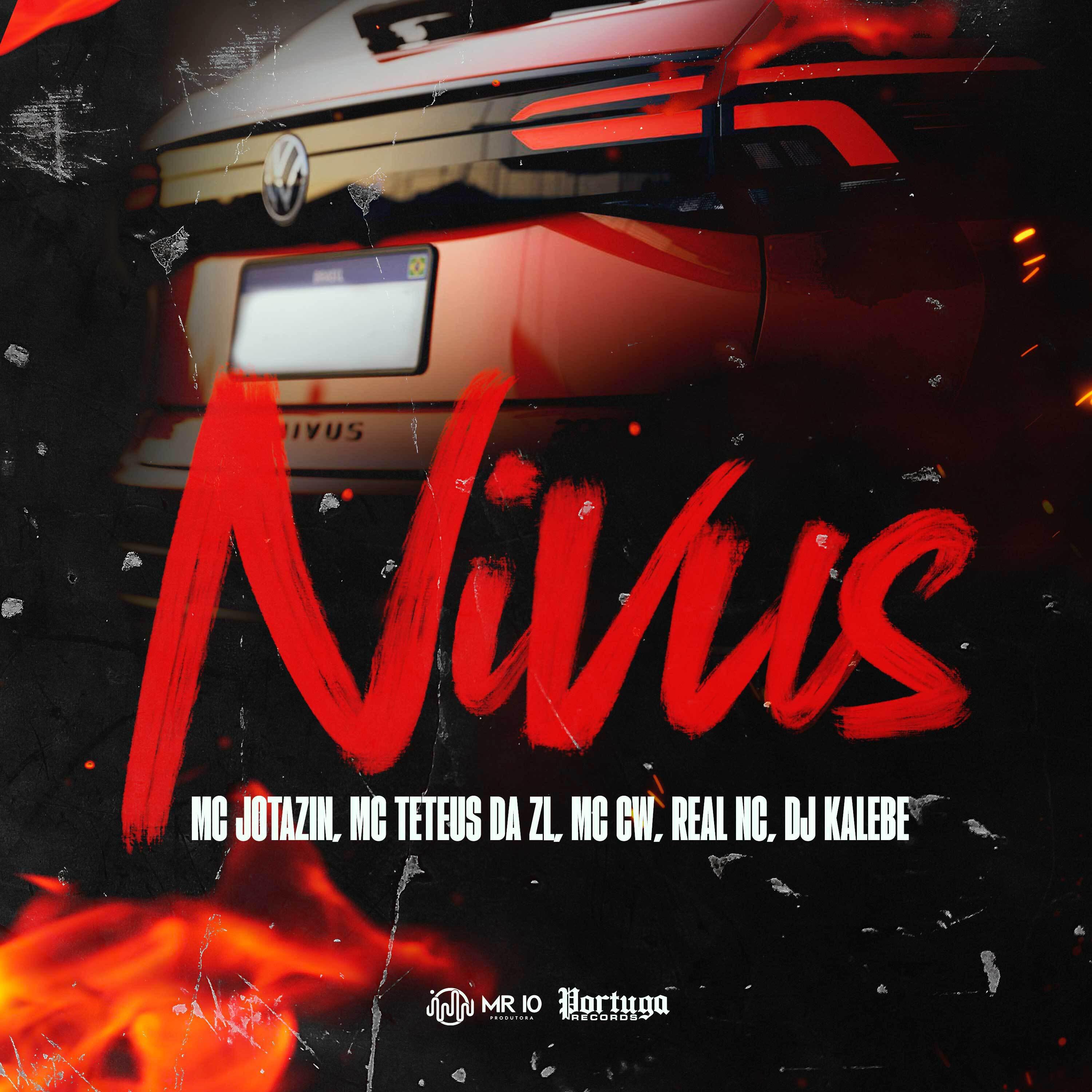 Постер альбома Nivus
