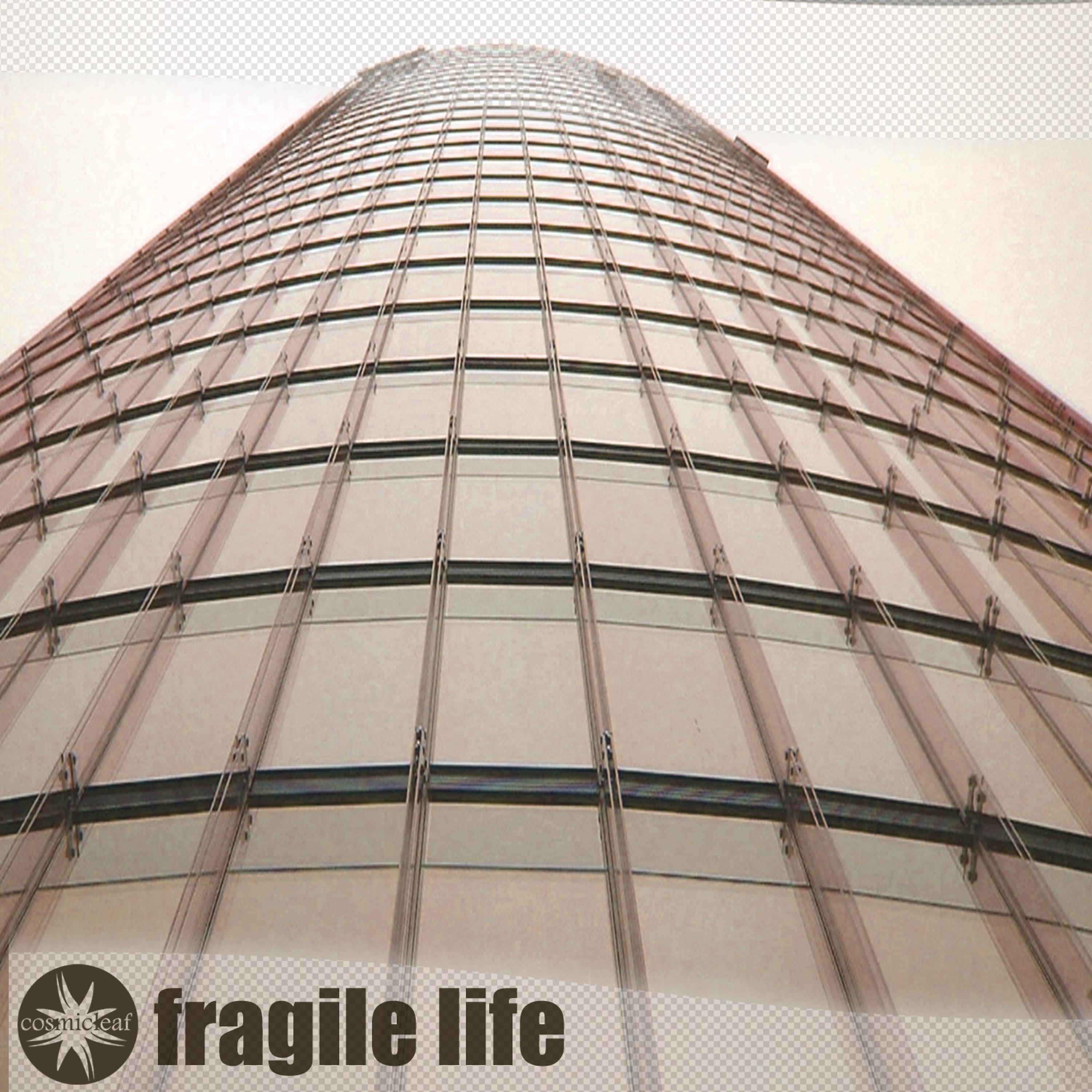Постер альбома Fragile Life