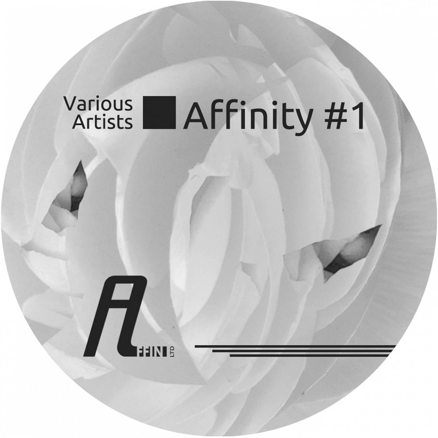 Постер альбома Affinity 1