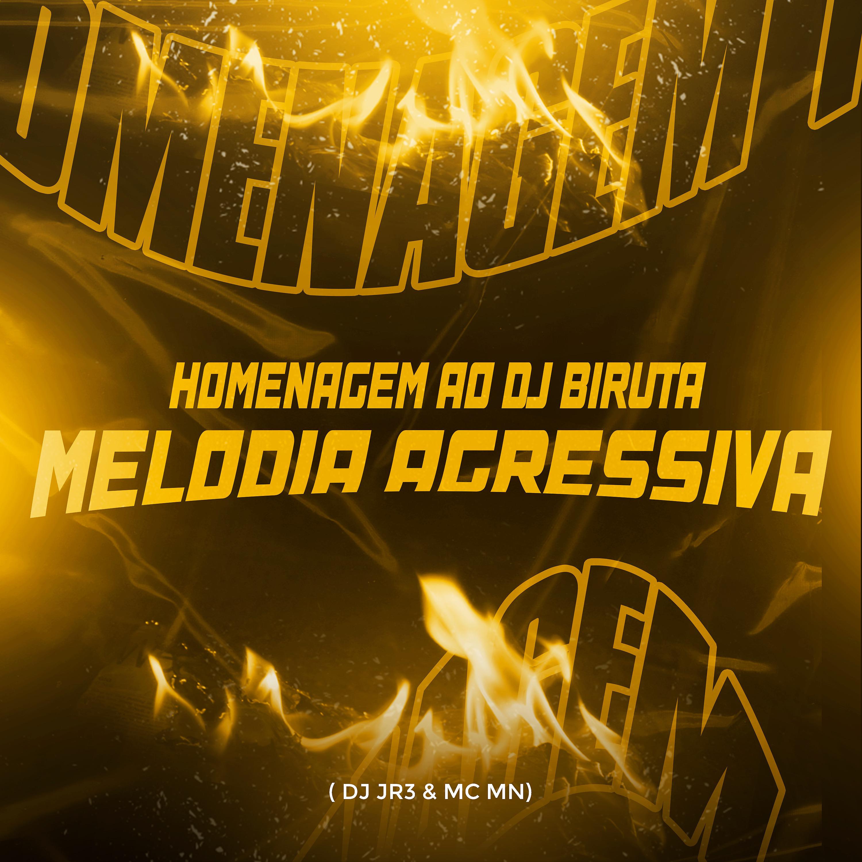 Постер альбома Homenagem ao Dj Biruta - Melodia Agressiva