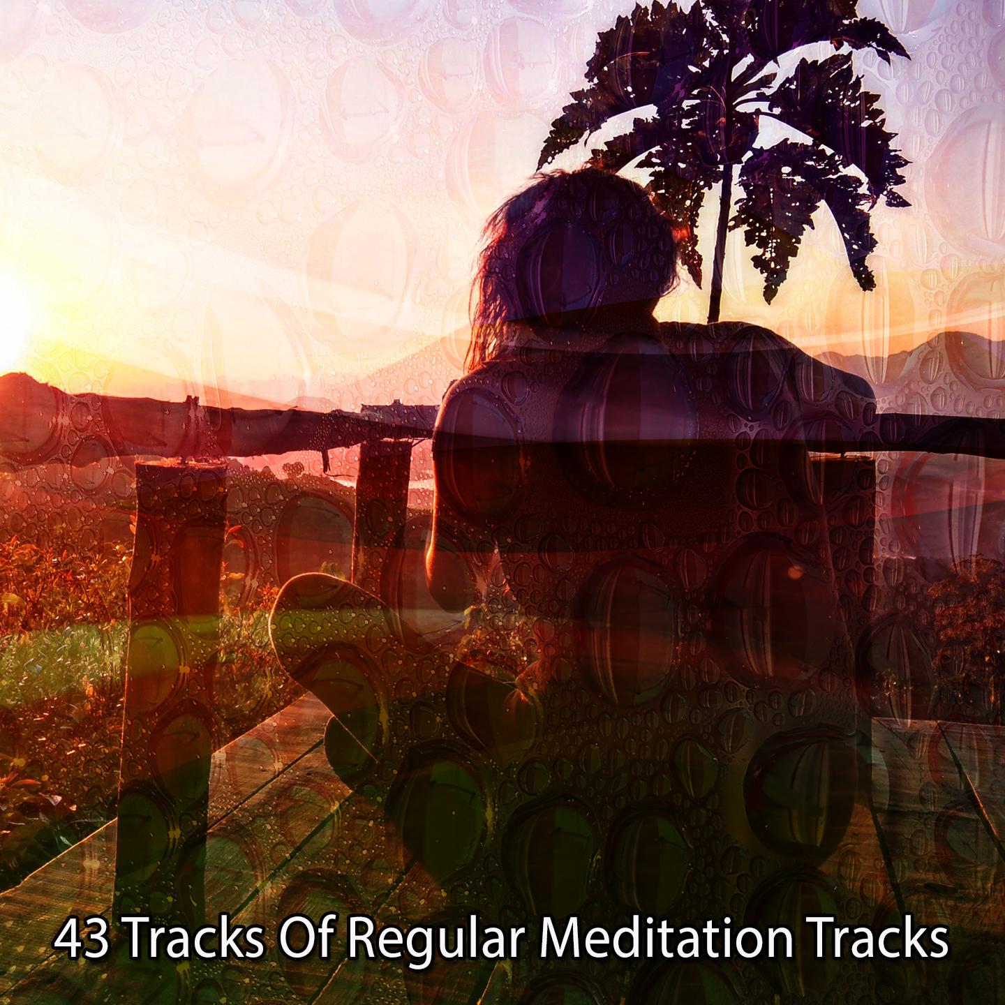 Постер альбома 43 Tracks Of Regular Meditation Tracks