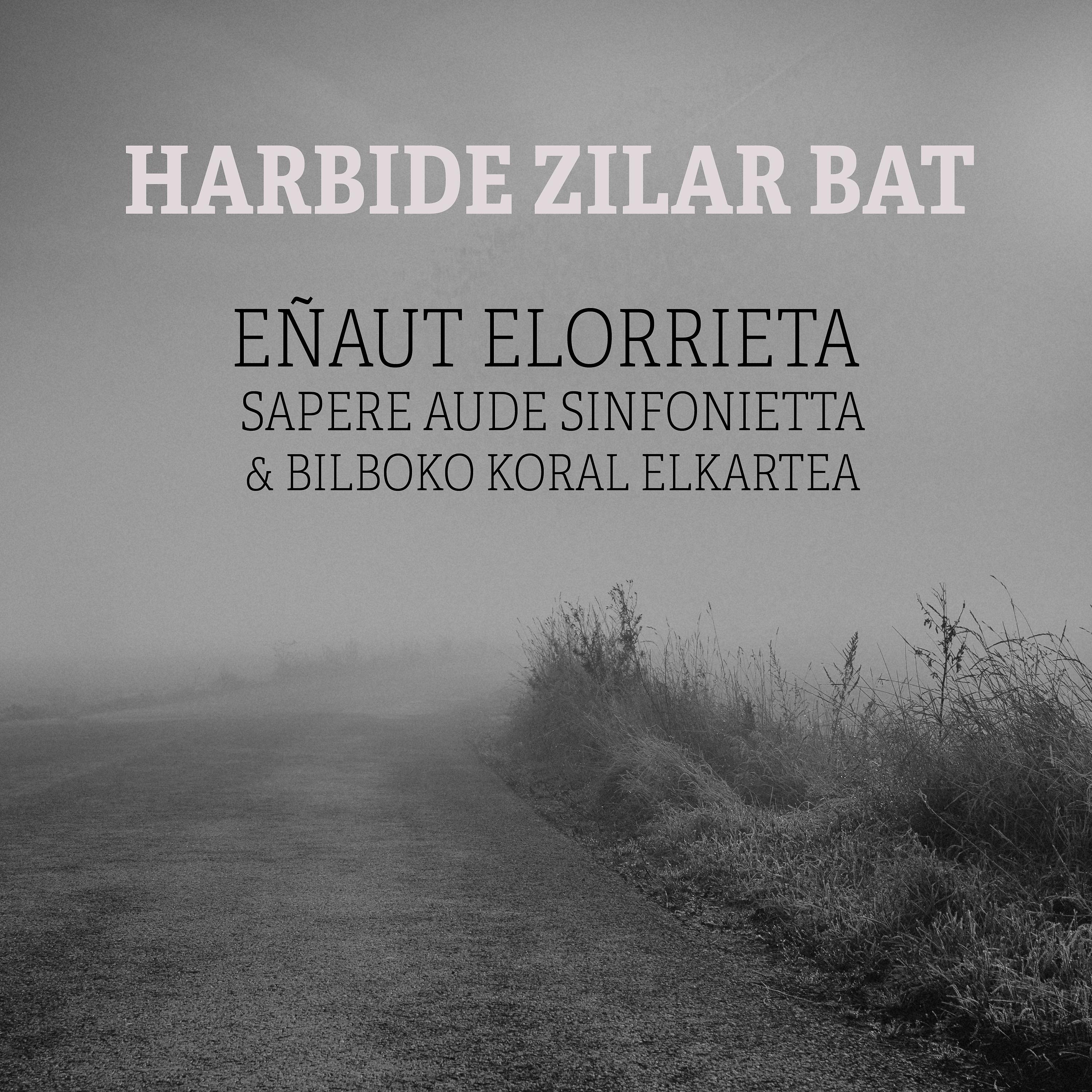 Постер альбома Harbide zilar bat