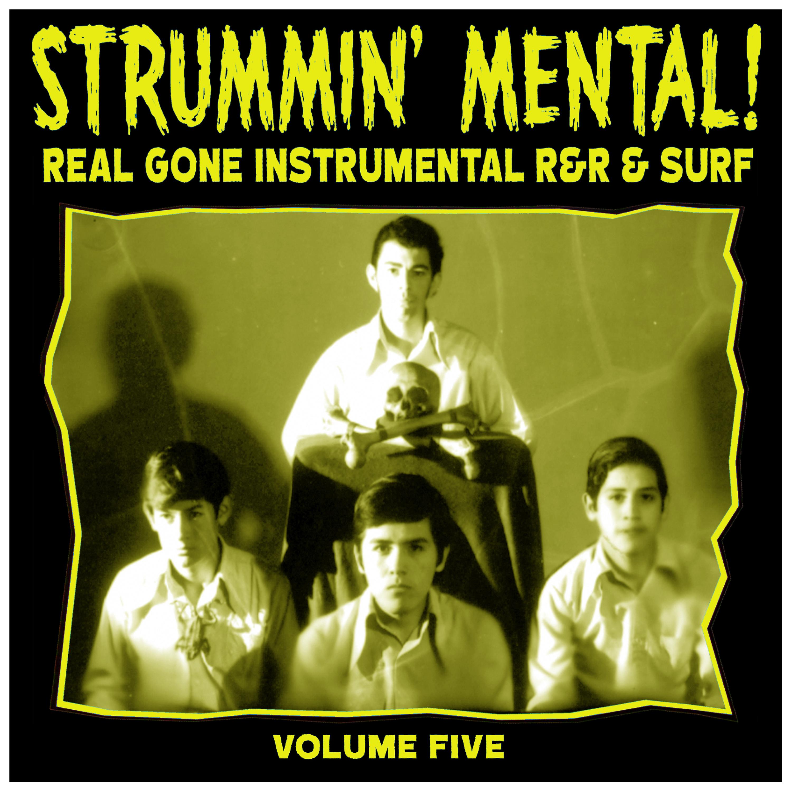 Постер альбома Strummin´ Mental Vol.5. Real Gone Instrumental R&R & Surf