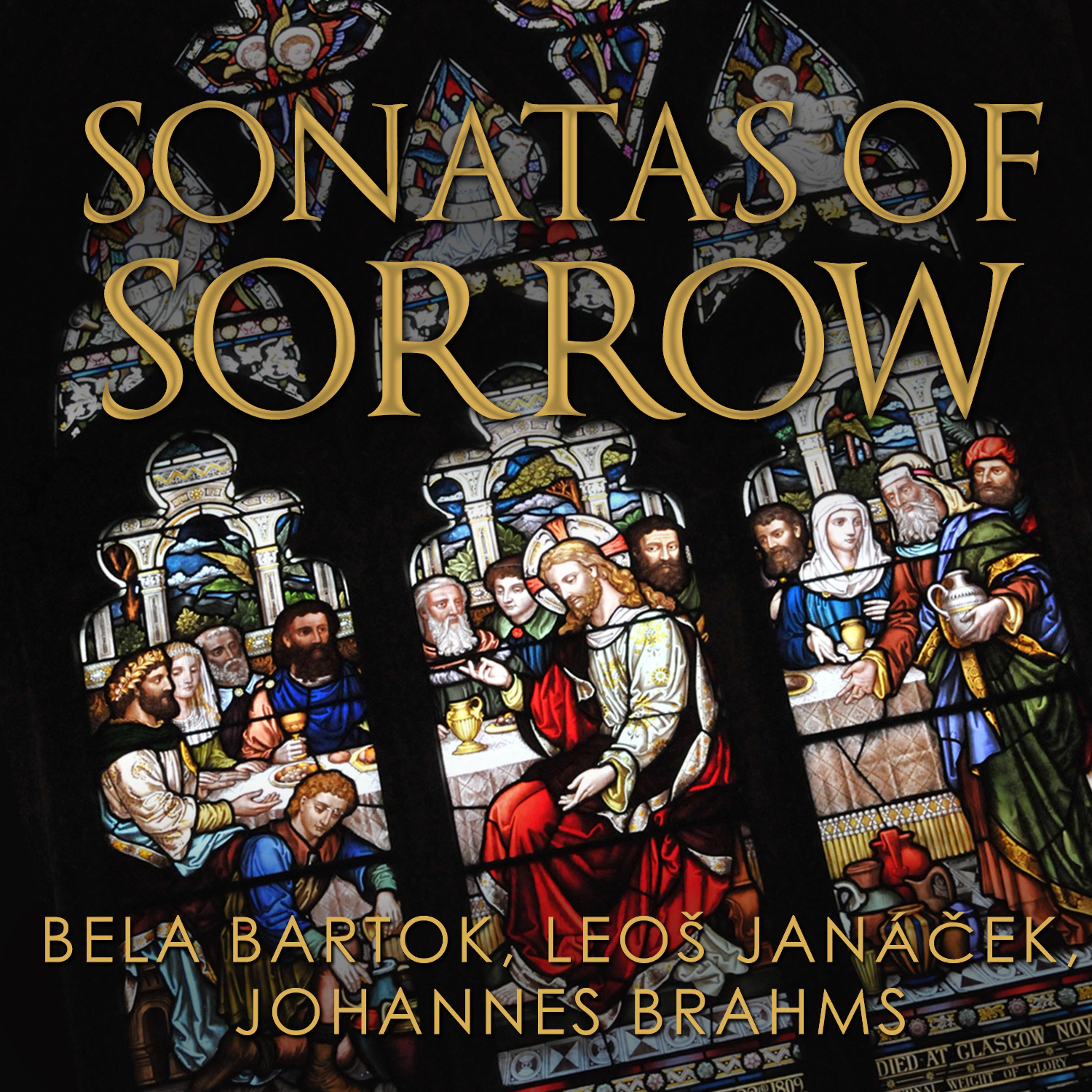 Постер альбома Sonatas of Sorrow: Bela Bartok, Leo Janáček, Johannes Brahms
