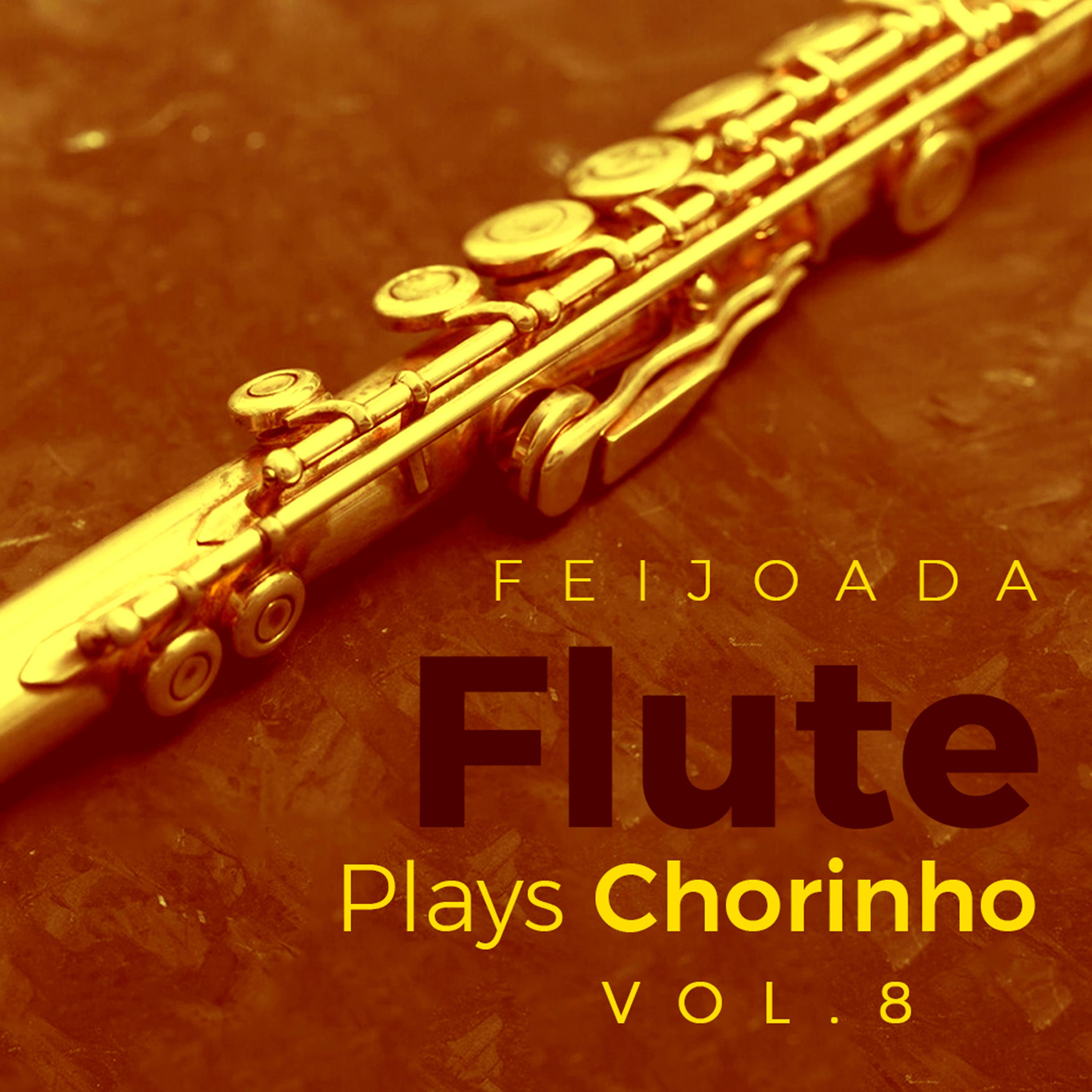 Постер альбома Flute Plays Chorinho, Vol. 8
