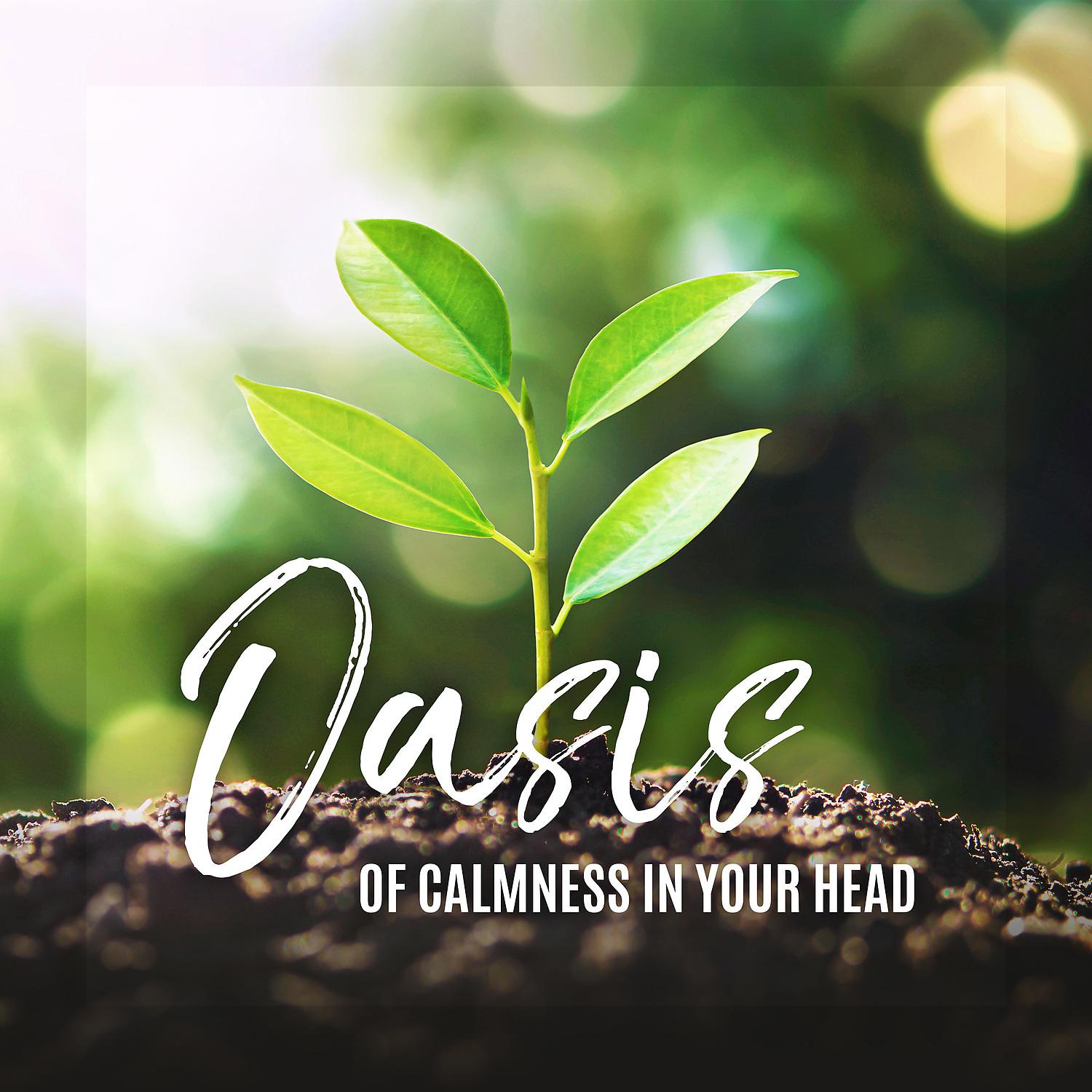 Постер альбома Oasis of Calmness in Your Head