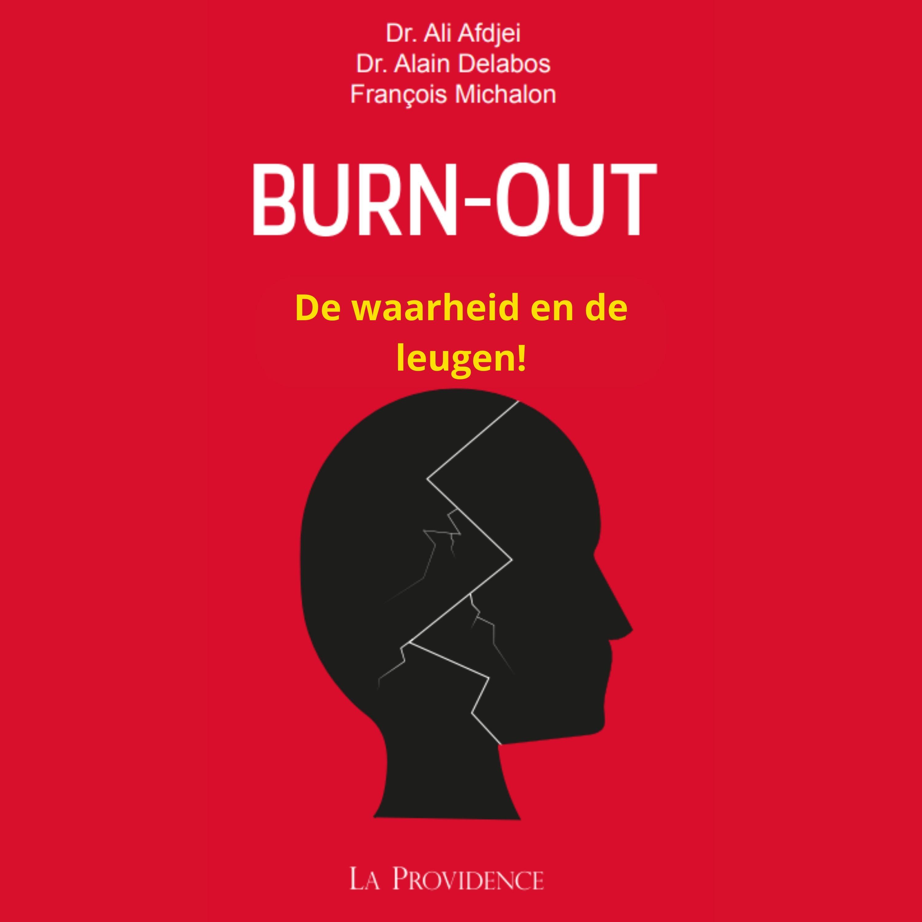Постер альбома BURN-OUT: De waarheid en de leugen!