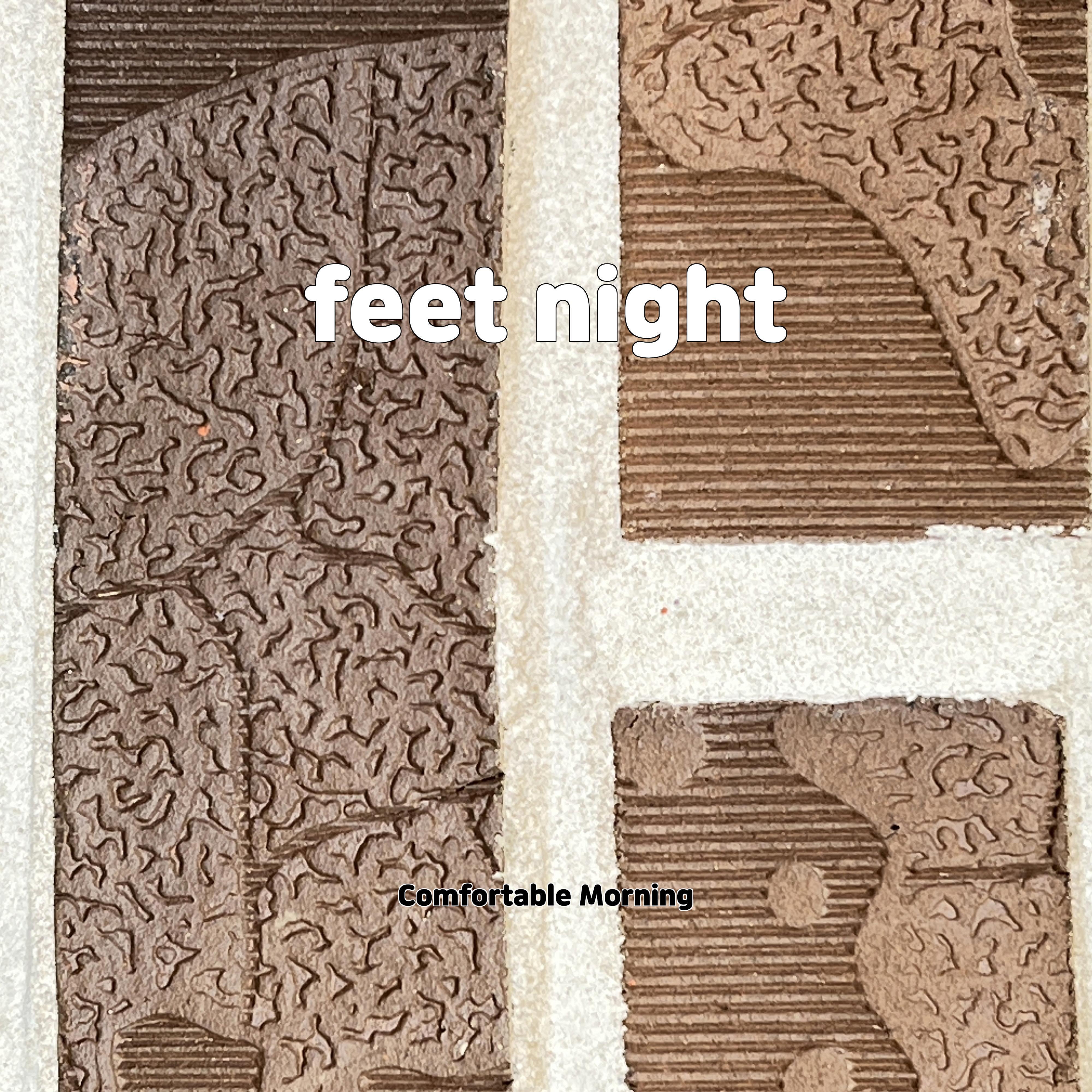 Постер альбома feet night