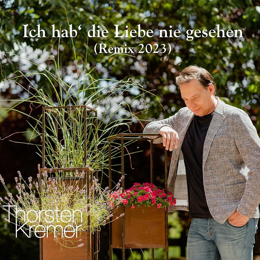 Постер альбома Ich hab die Liebe nie gesehen (Remix 2023)