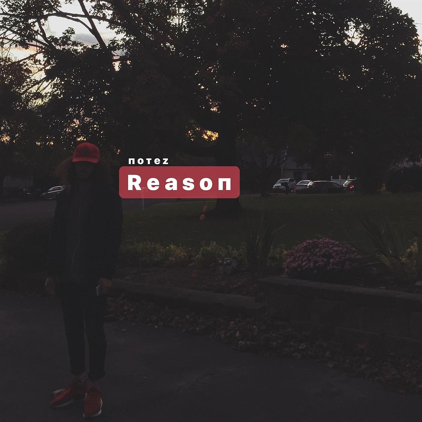 Постер альбома Reason
