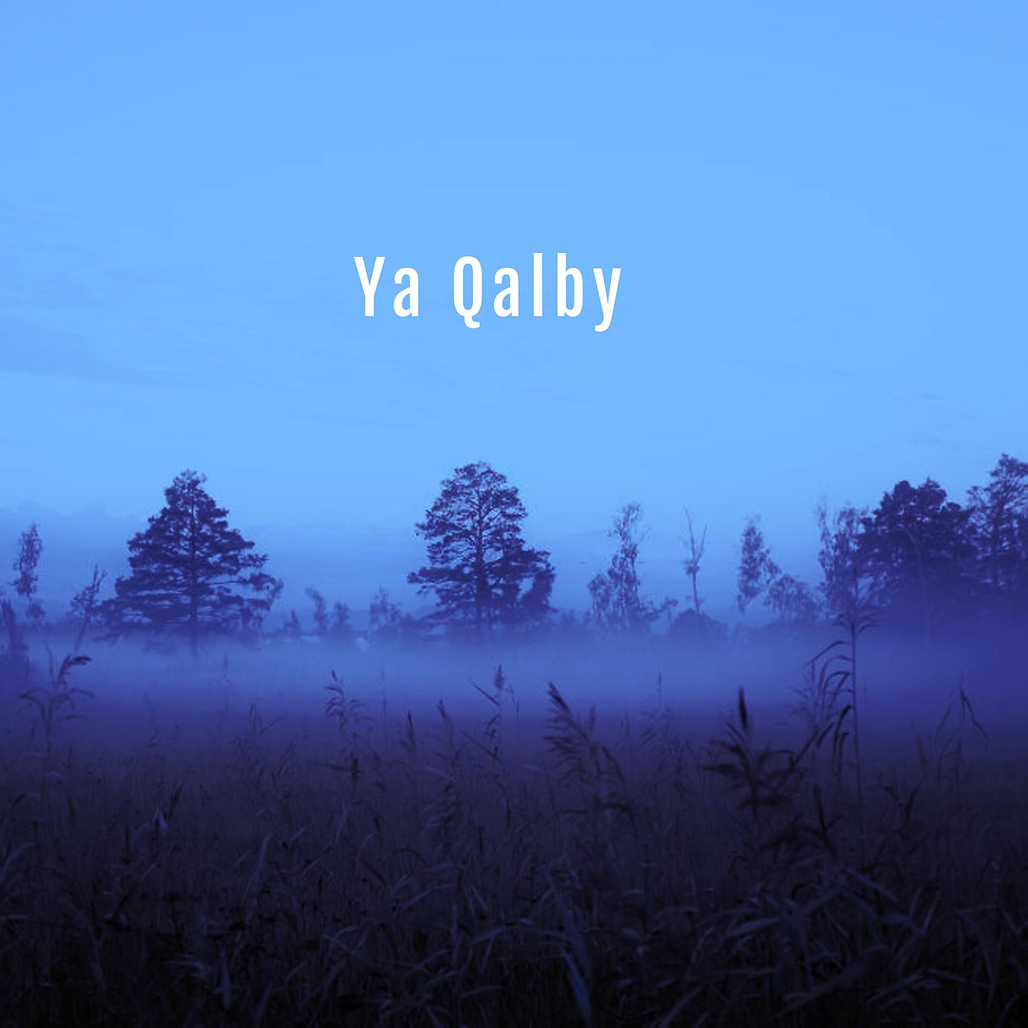 Постер альбома Ya Qalby