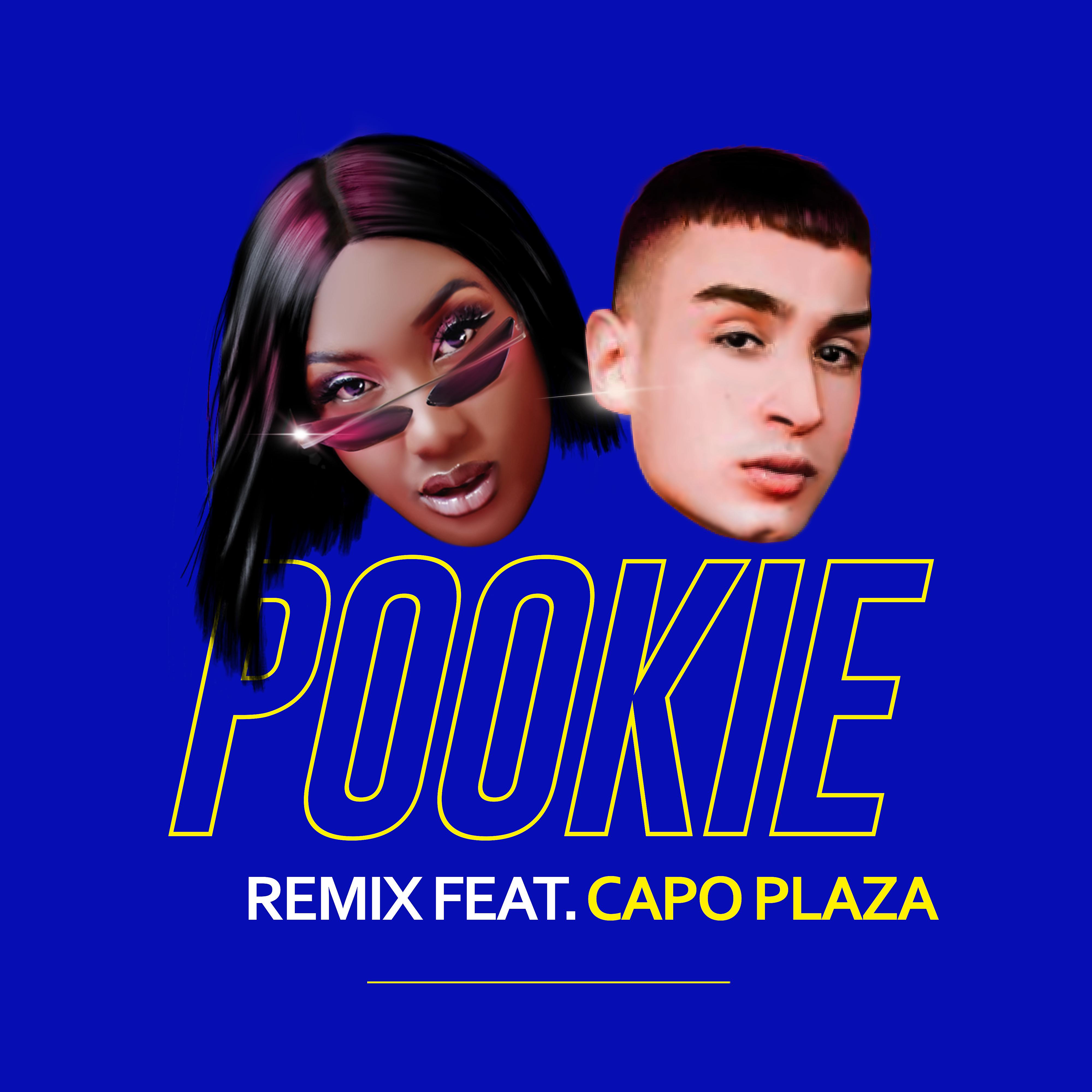 Постер альбома Pookie (feat. Capo Plaza) [Remix]