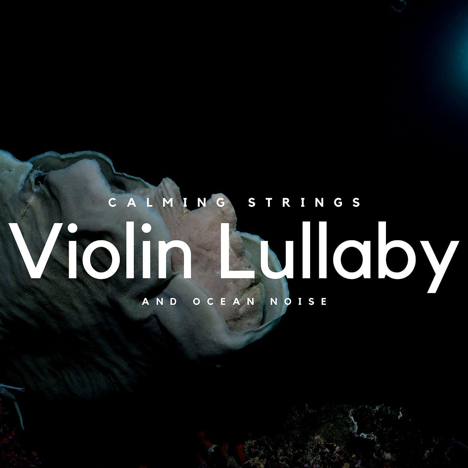Постер альбома Violin Lullaby and Ocean Noise