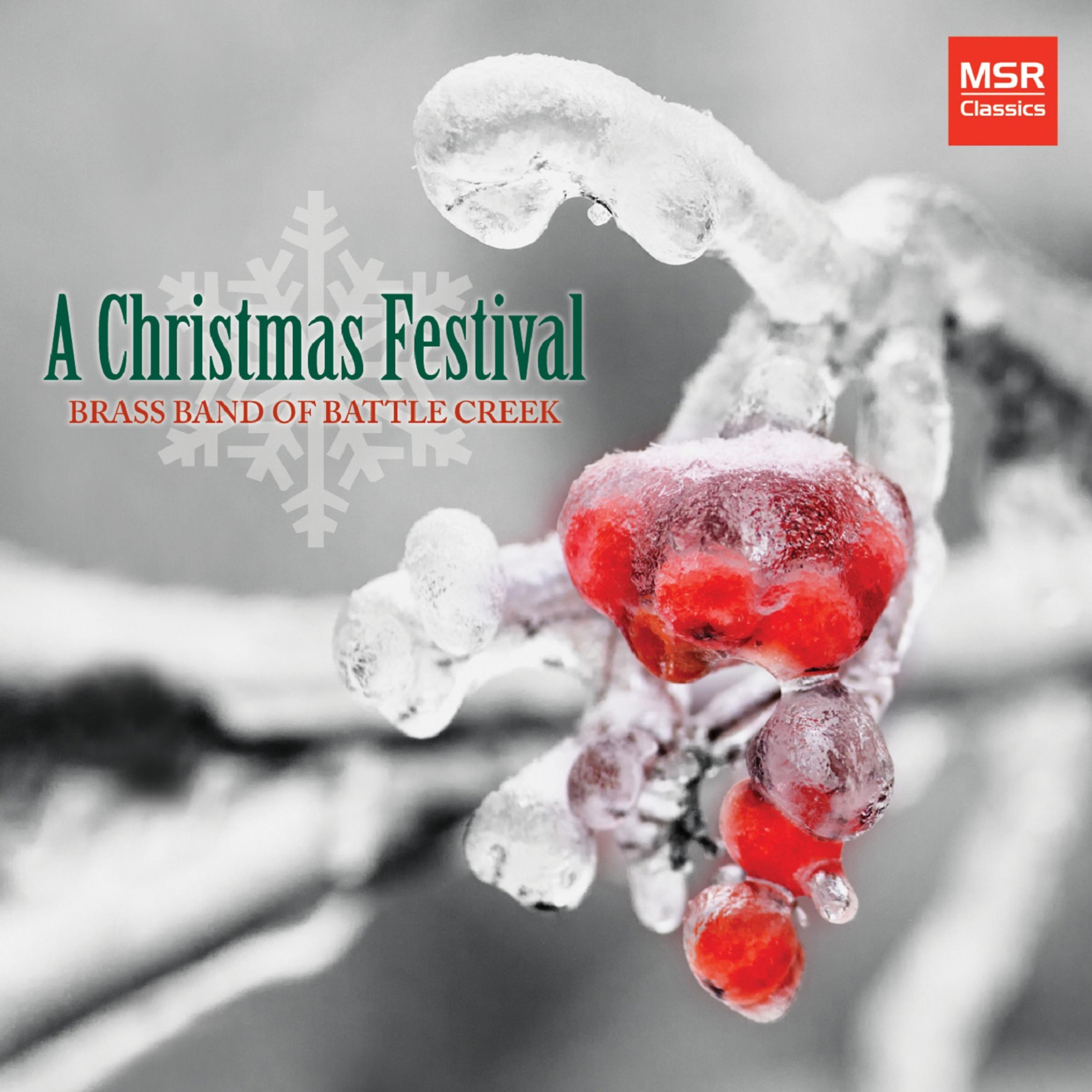 Постер альбома A Christmas Festival - 10 Holiday Favorites