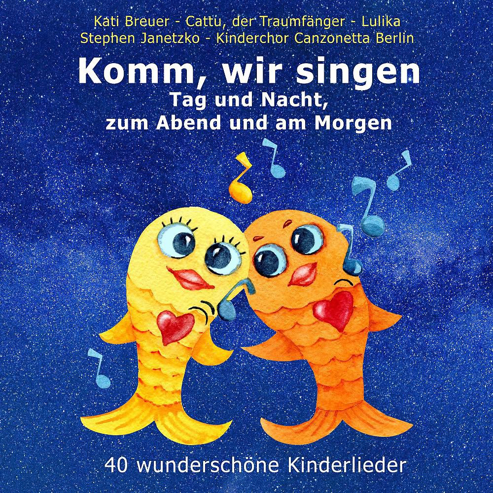 Постер альбома Komm, wir singen Tag und Nacht, zum Abend und am Morgen (40 wunderschöne Kinderlieder)