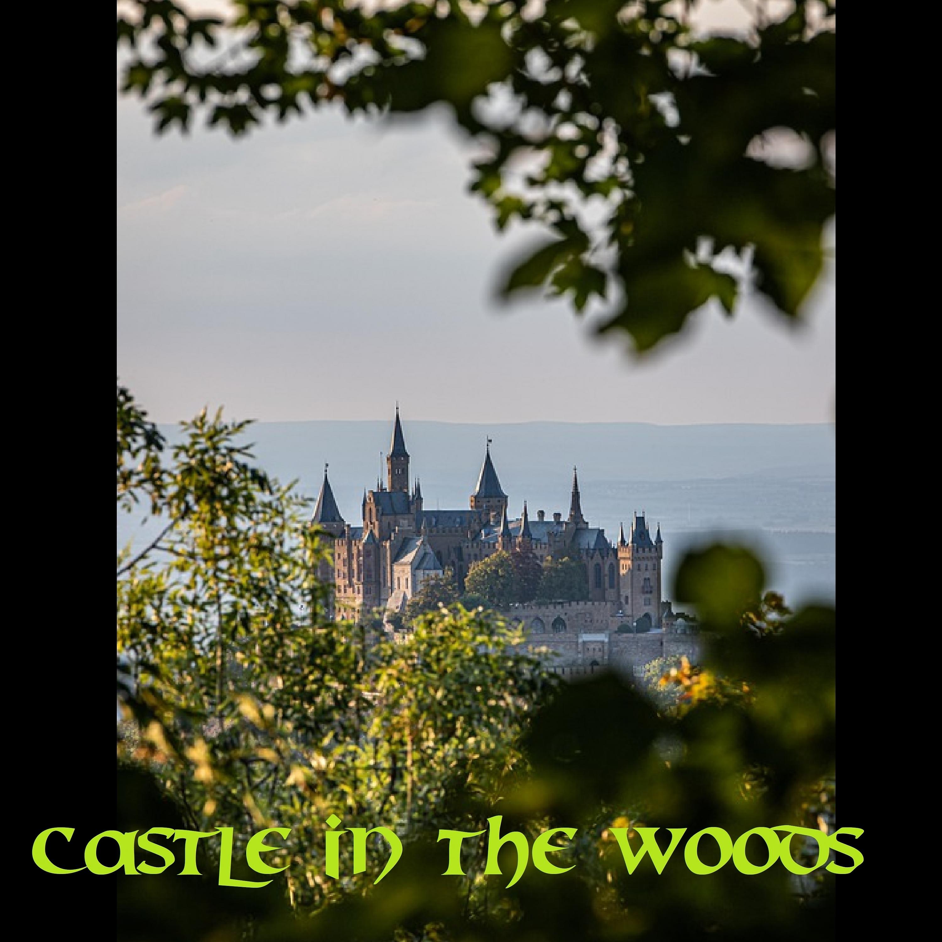 Постер альбома Castle in the Woods