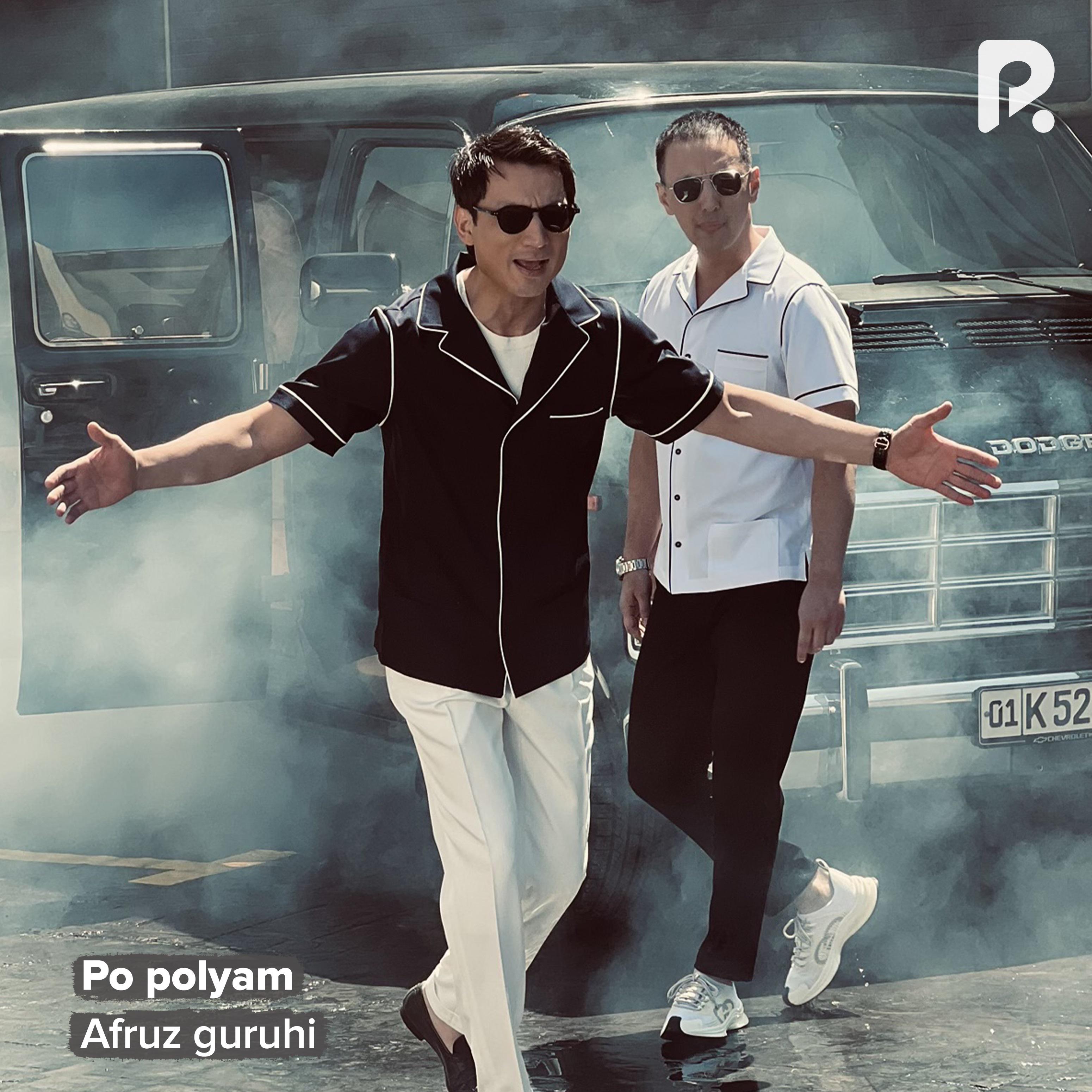 Постер альбома Po polyam