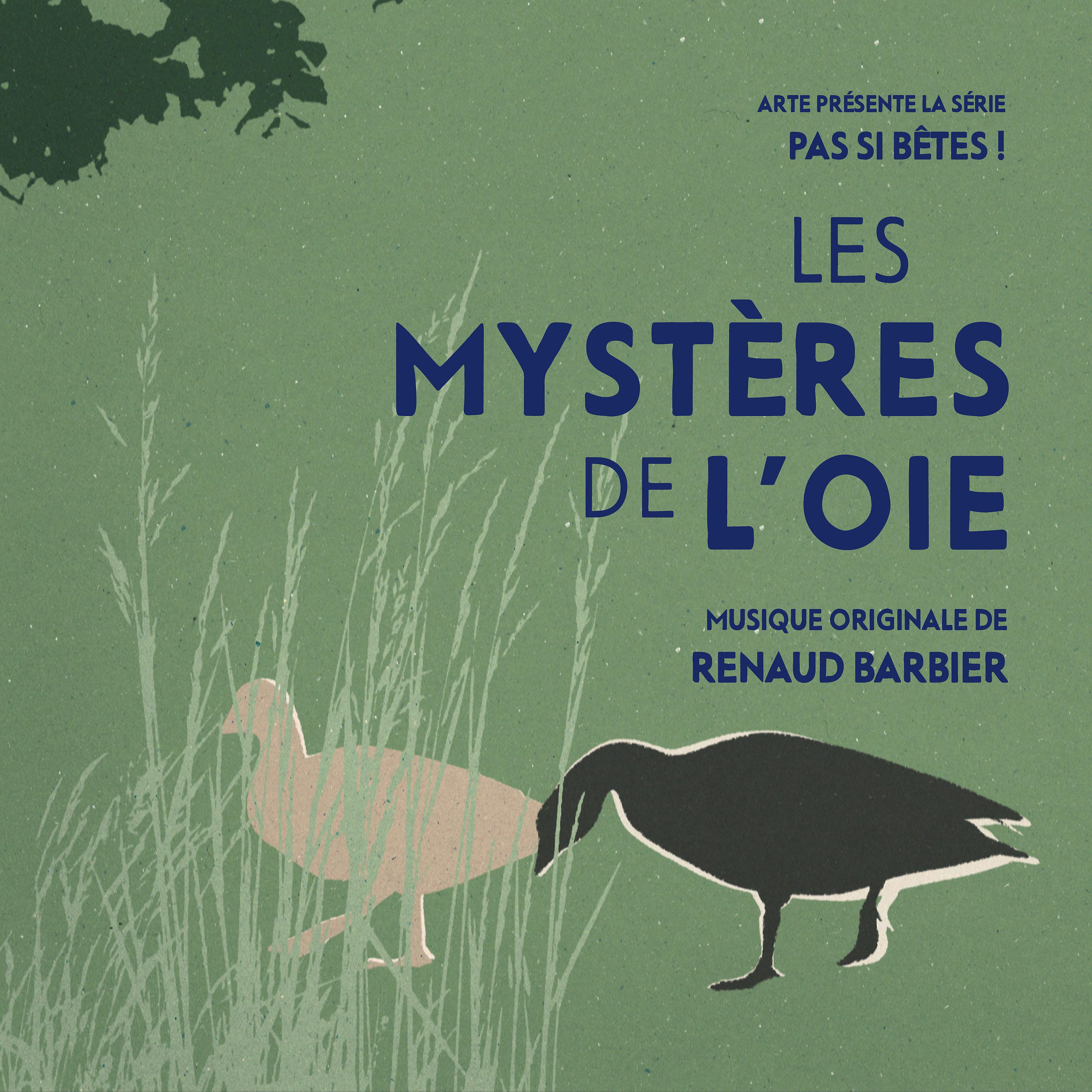 Постер альбома Pas si bêtes ! - Les mystères de l'oie (Bande originale de la série télévisée)