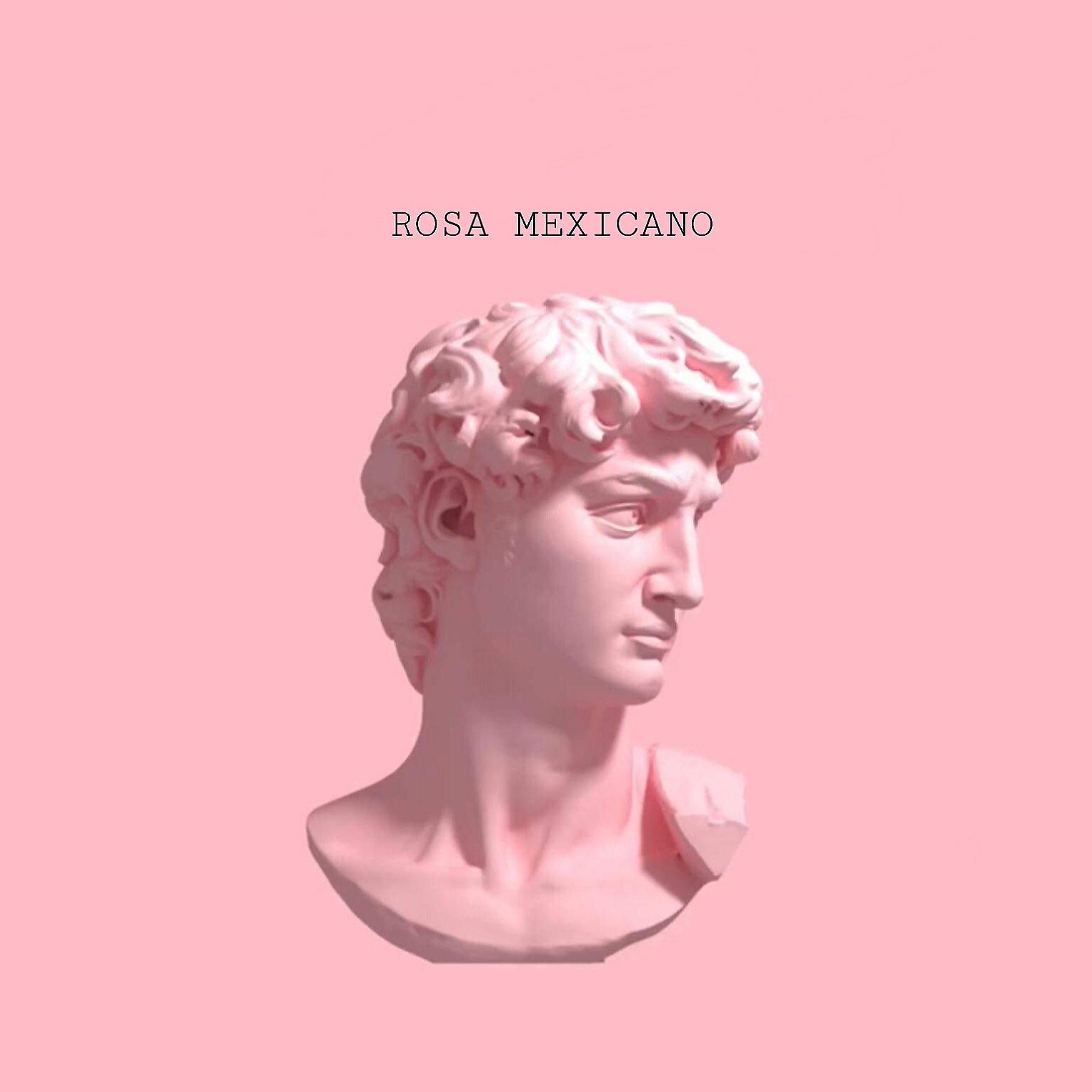 Постер альбома Rosa Mexicano