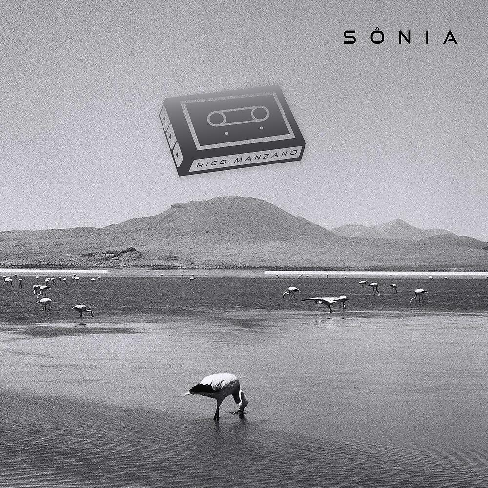 Постер альбома Sônia
