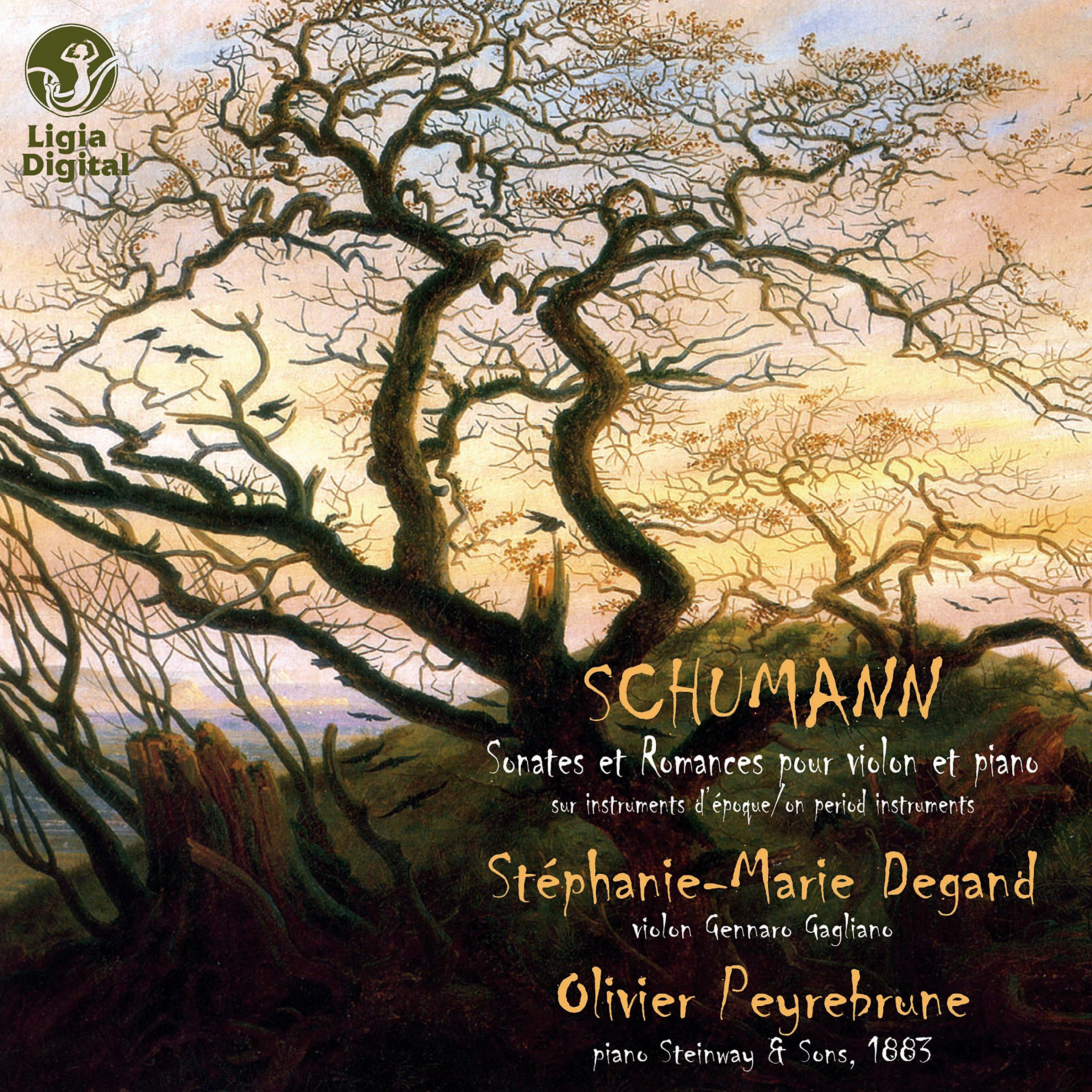 Постер альбома Schumann : Sonates et romances pour violon et piano (sur instruments d'époque)