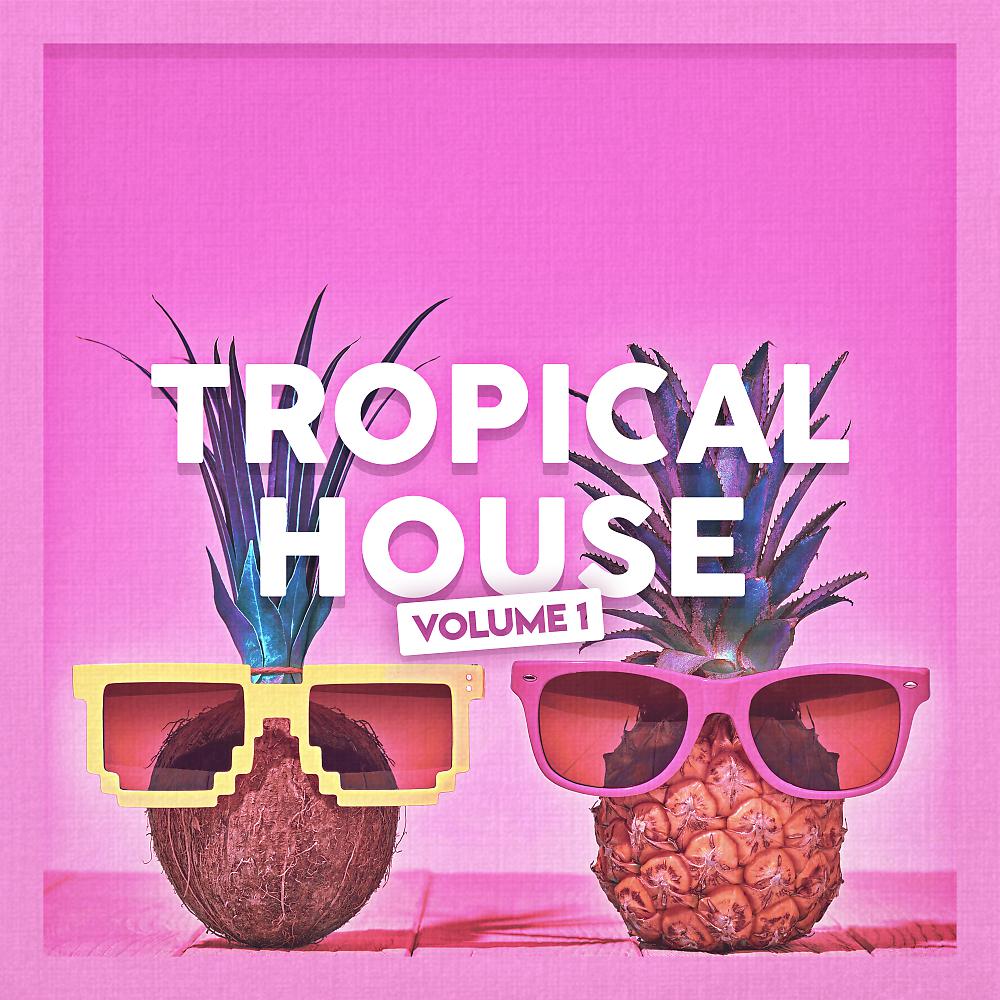 Постер альбома Tropical House
